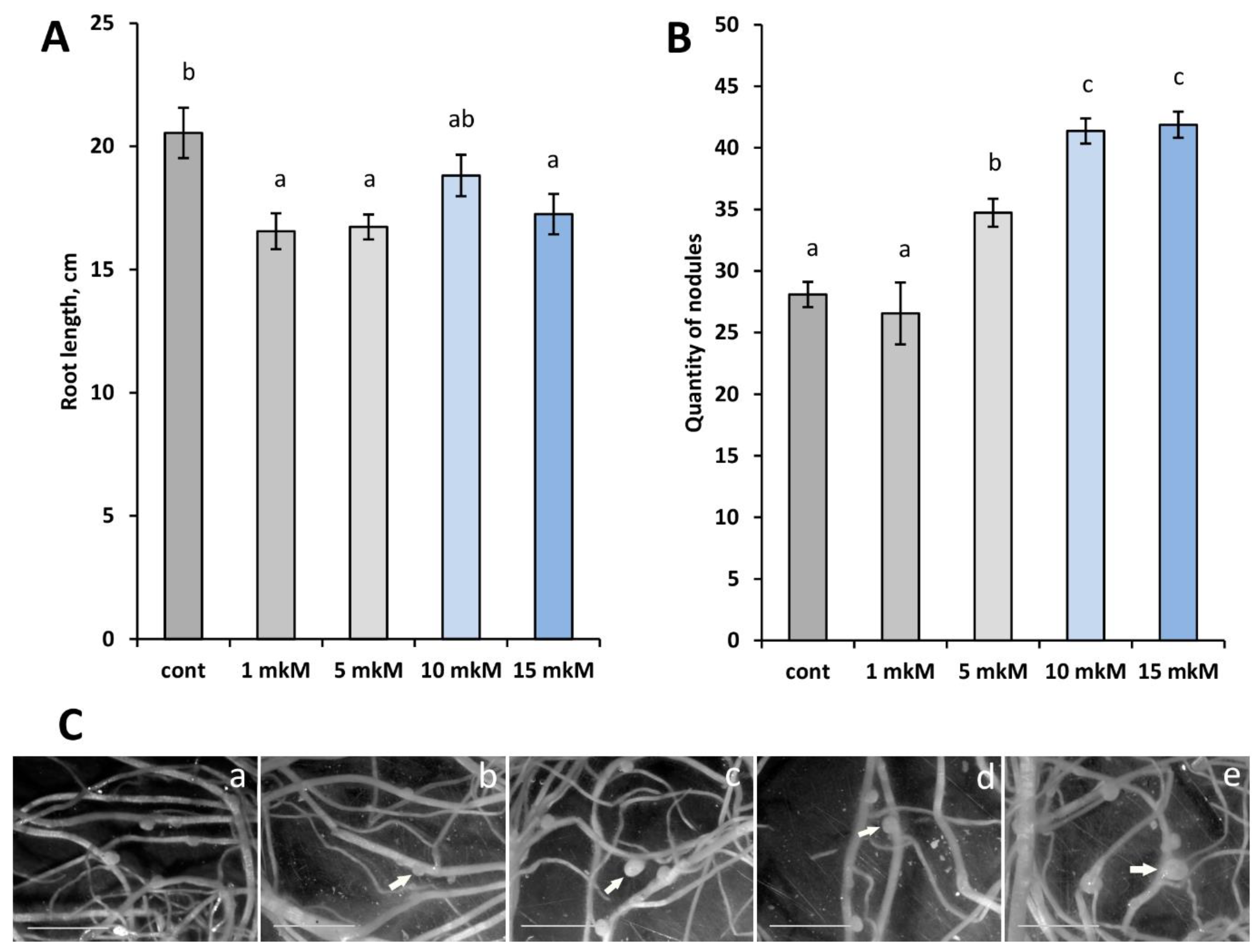 Plants 12 00657 g001