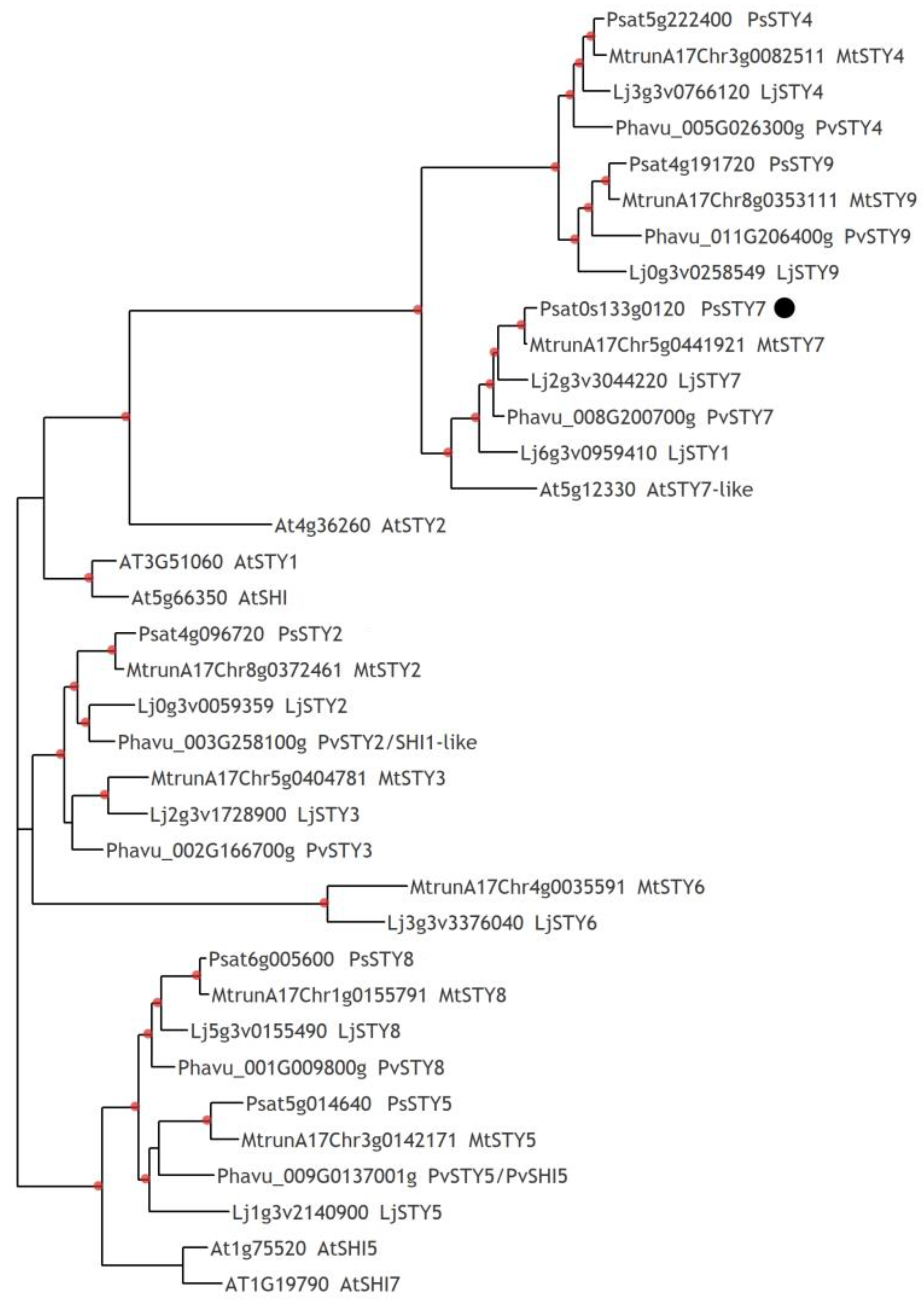 Plants 12 00657 g007