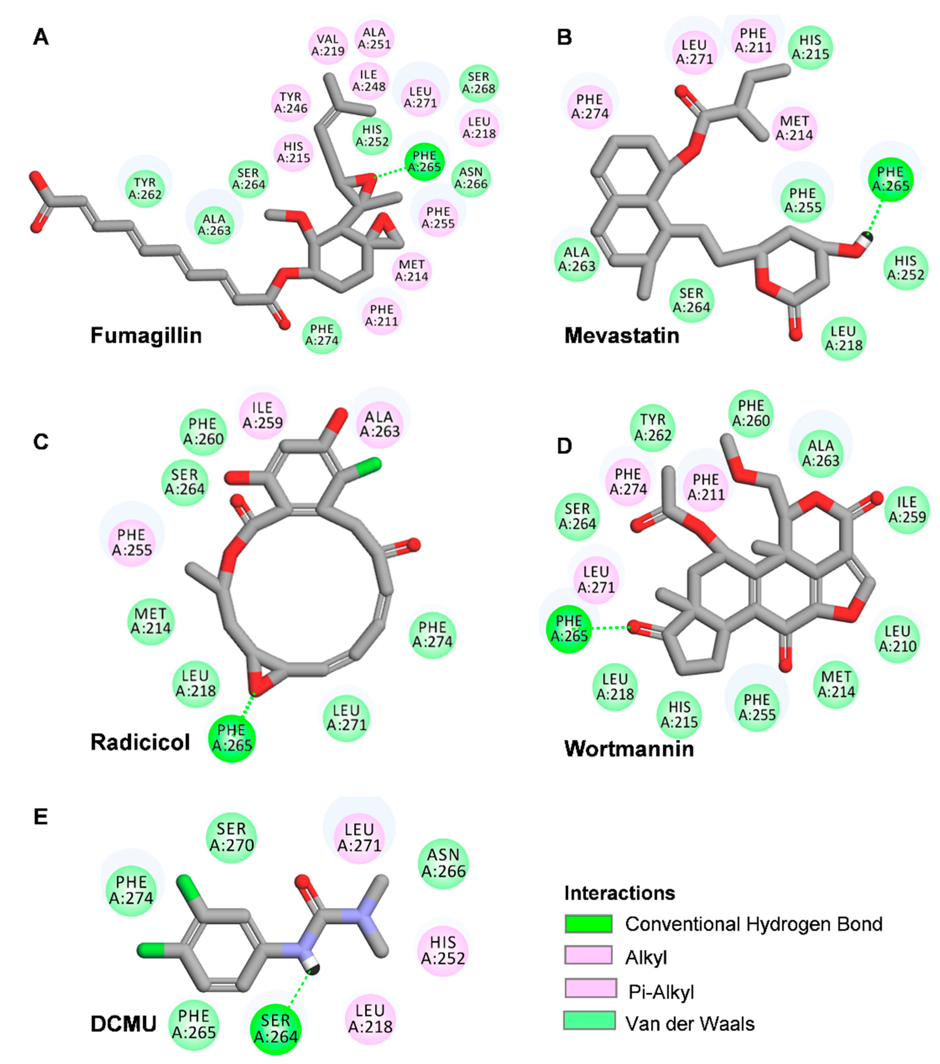 Plants 12 00665 g006
