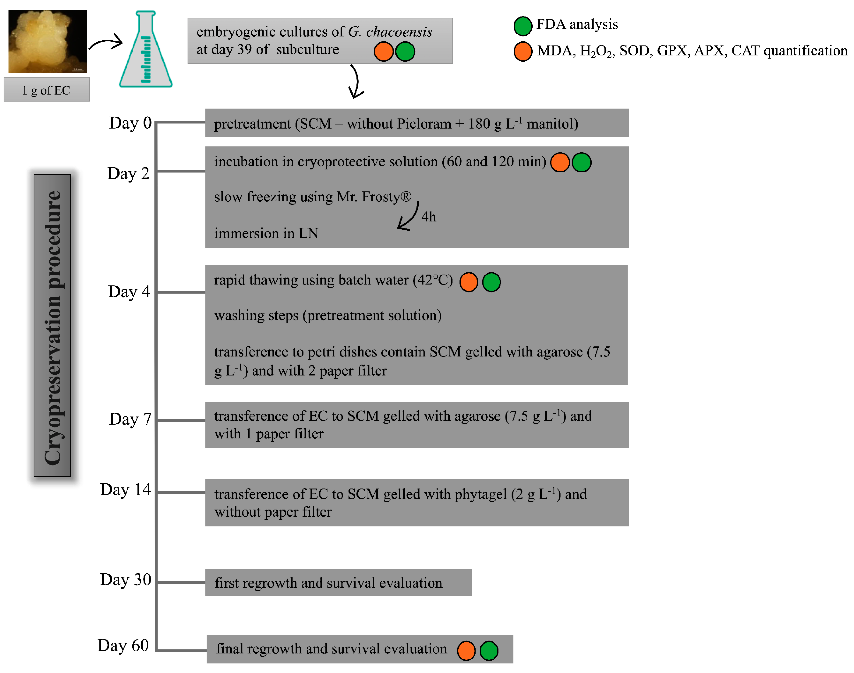 Plants 12 00673 g007