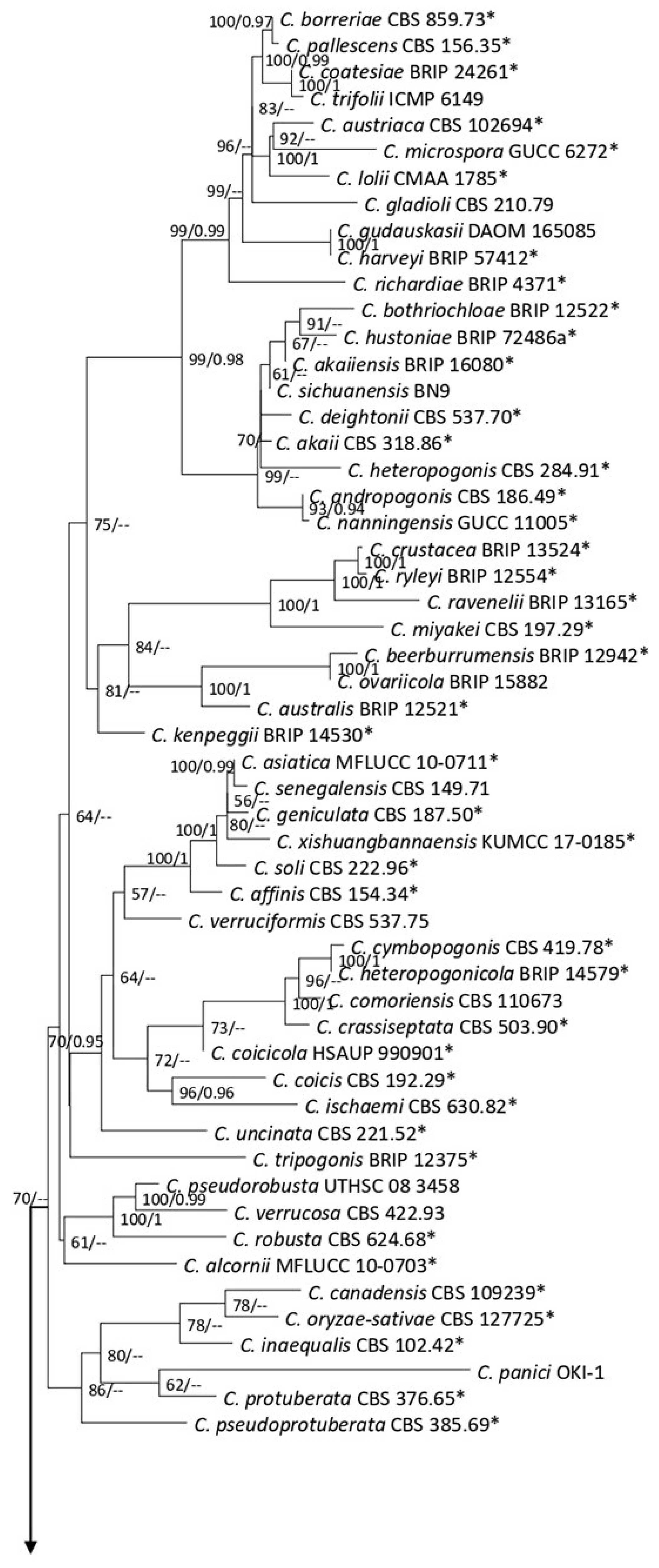 Plants 12 00683 g003a