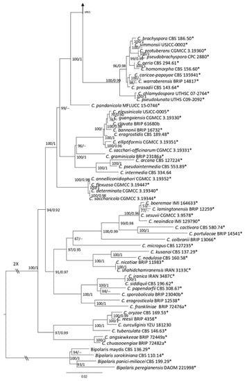 Plants 12 00683 g003c