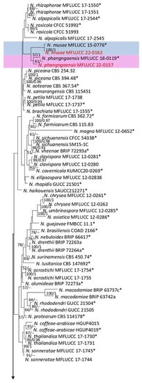 Plants 12 00683 g005a