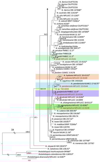 Plants 12 00683 g005b
