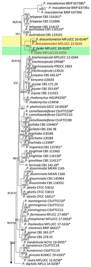 Plants 12 00683 g013a