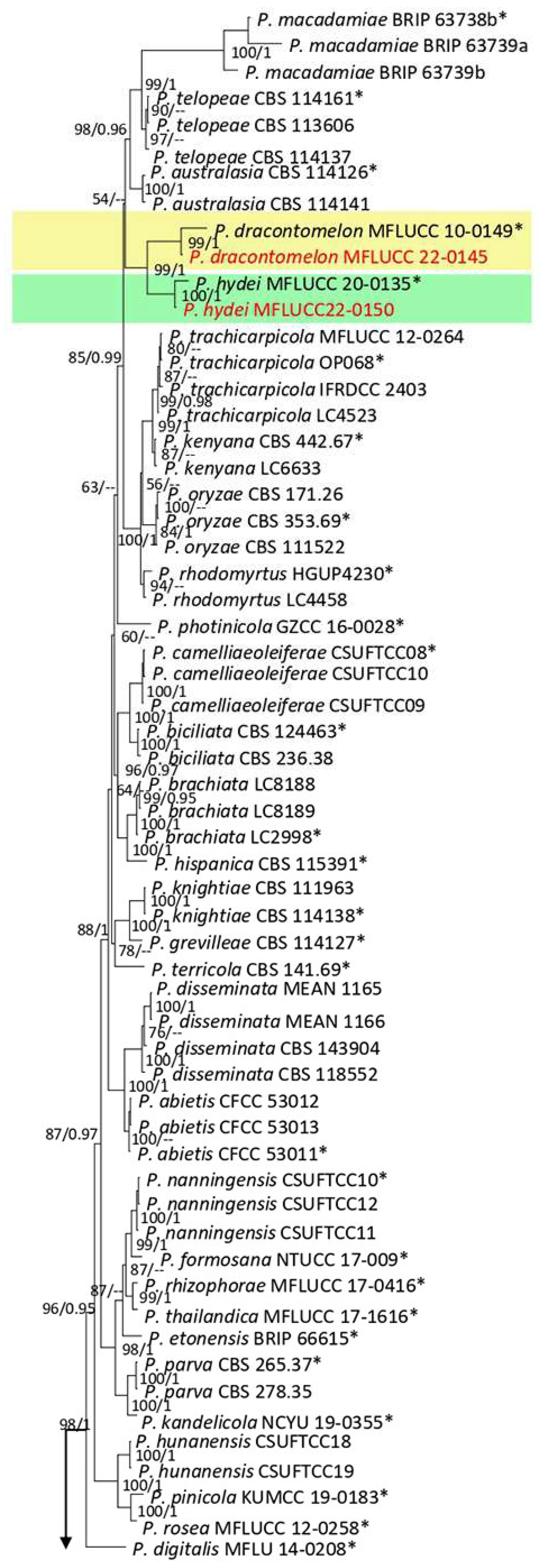 Plants 12 00683 g013a