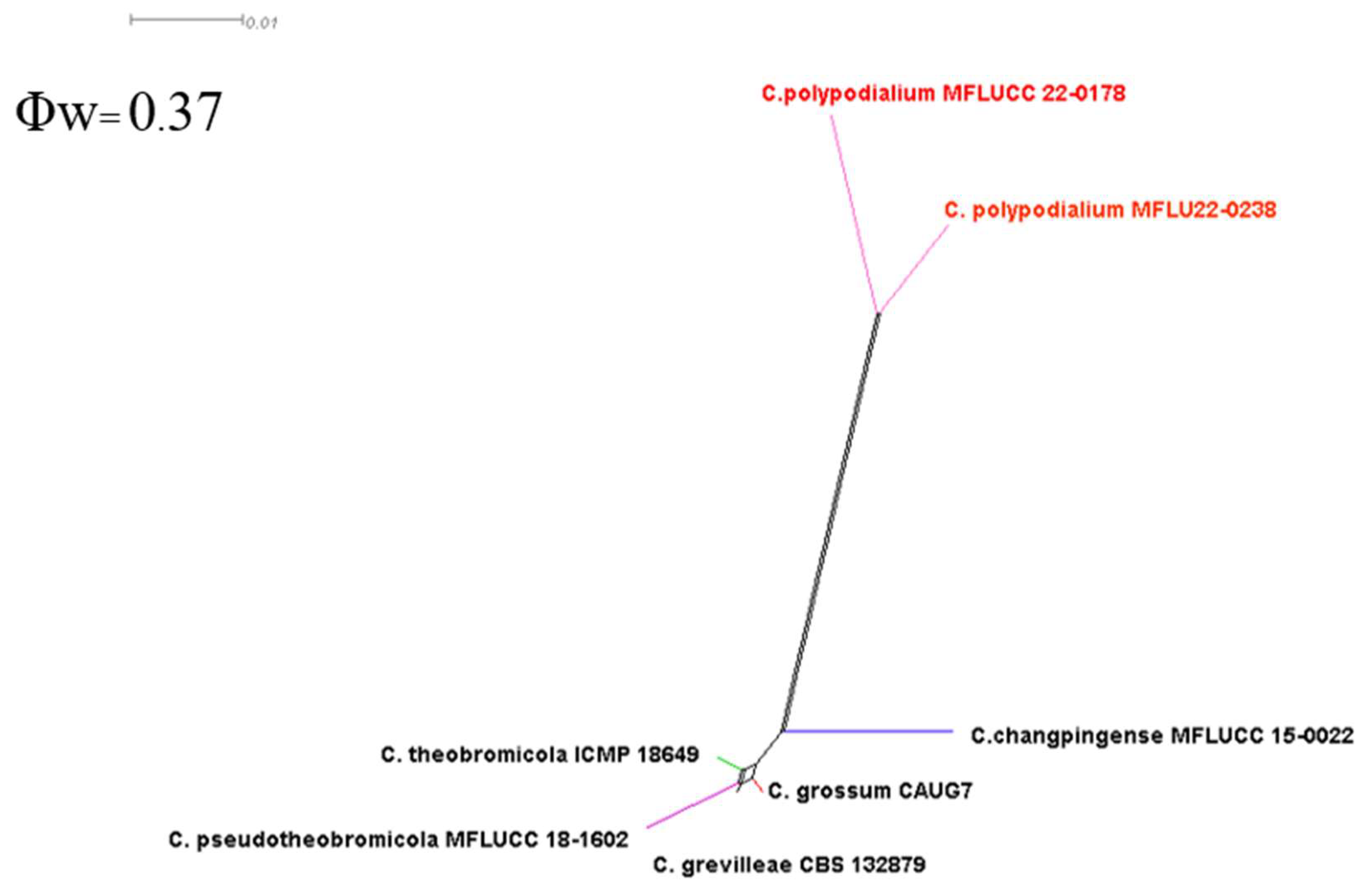 Plants 12 00683 g025