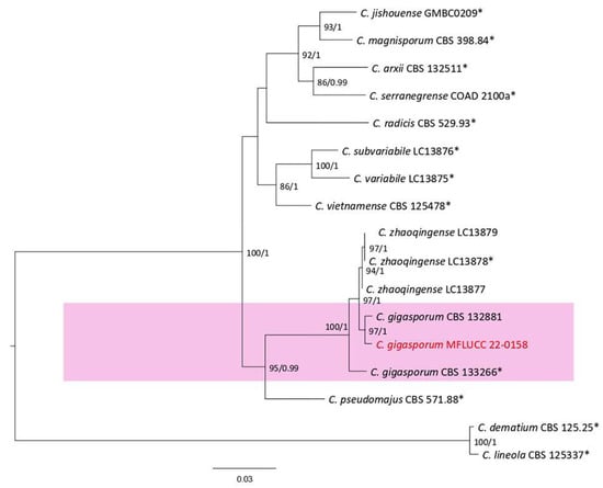 Plants 12 00683 g026