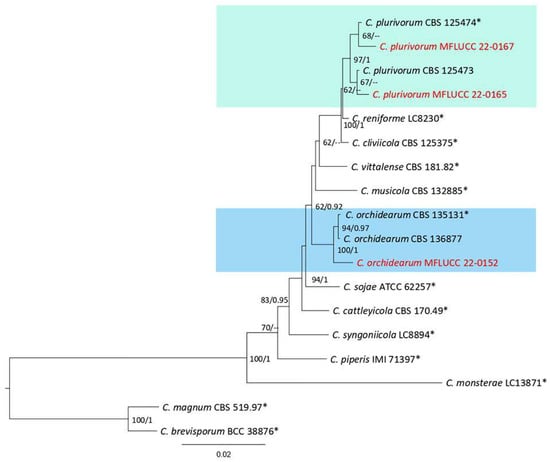 Plants 12 00683 g028