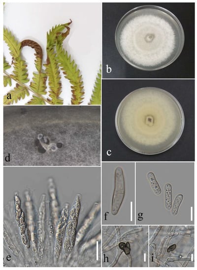 Plants 12 00683 g030