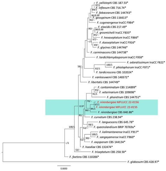 Plants 12 00683 g037