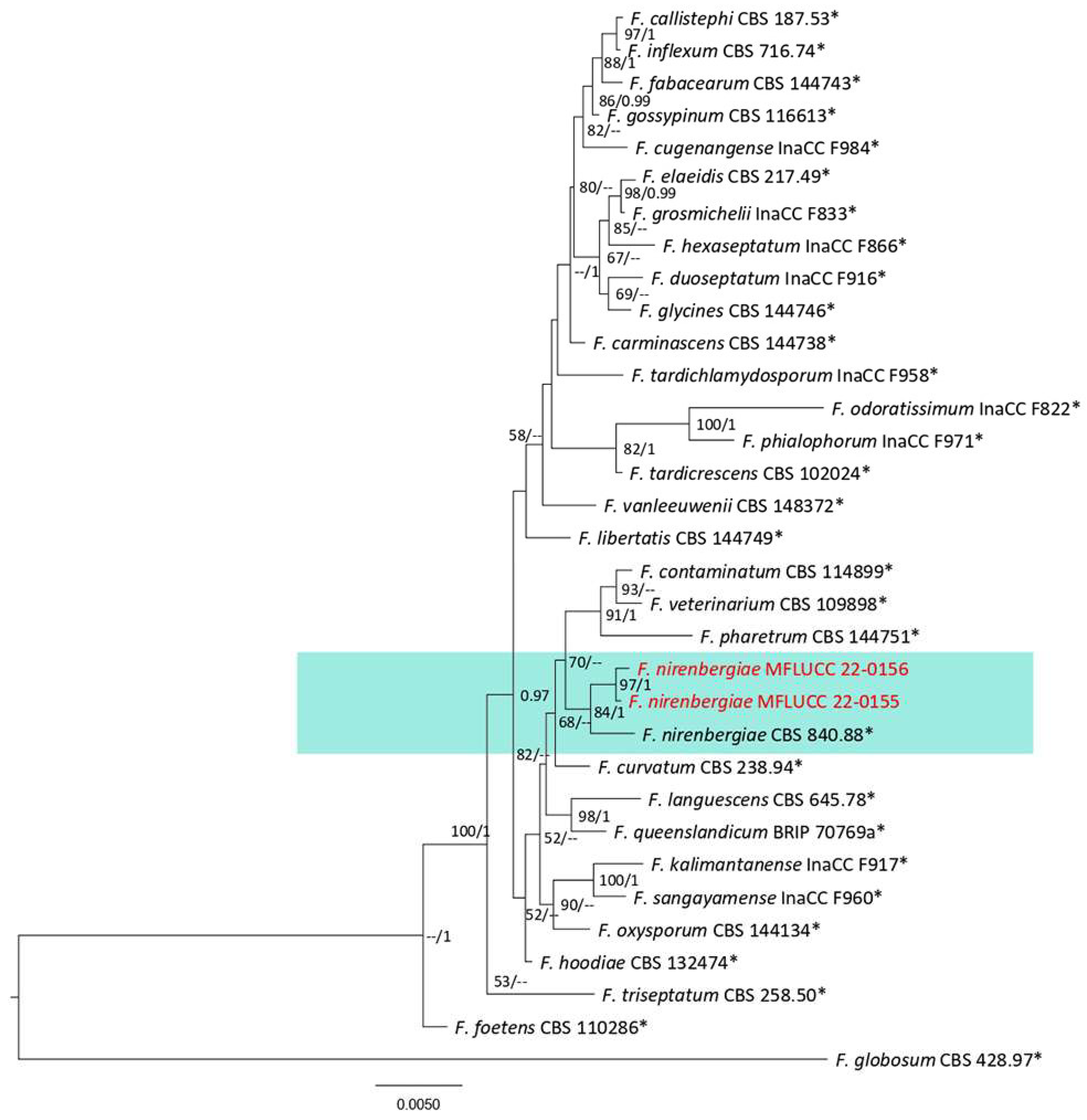 Plants 12 00683 g037