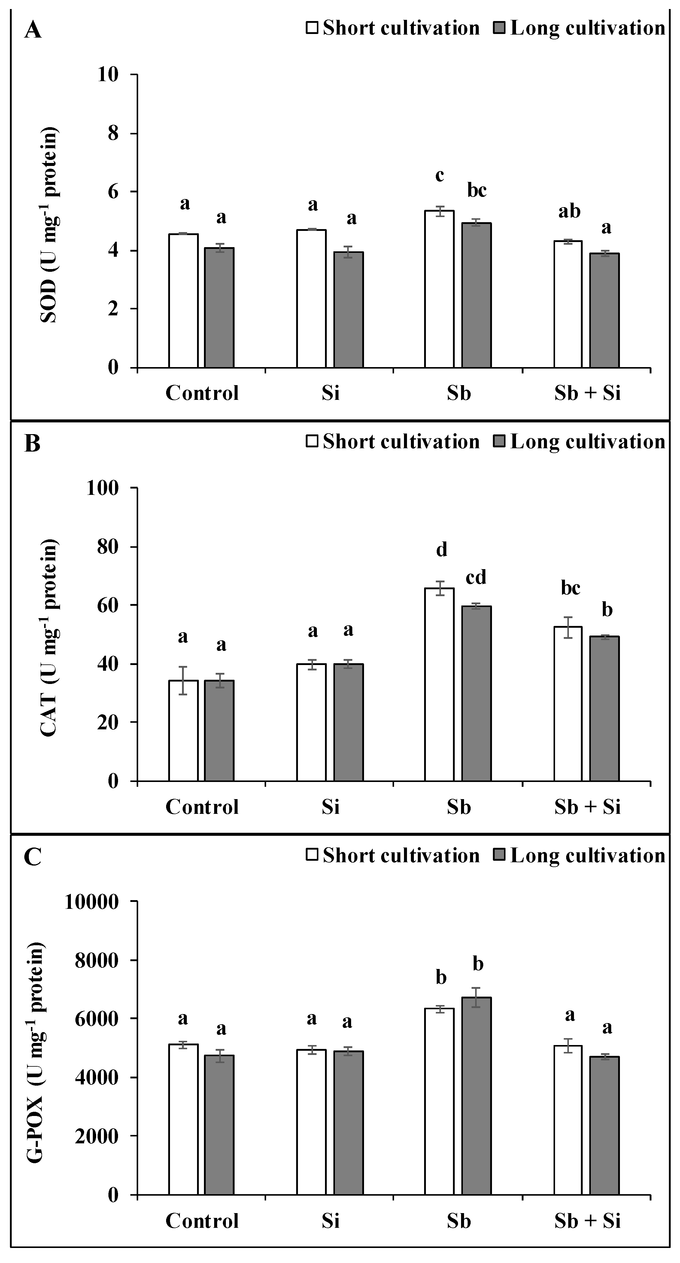 Plants 12 00689 g006