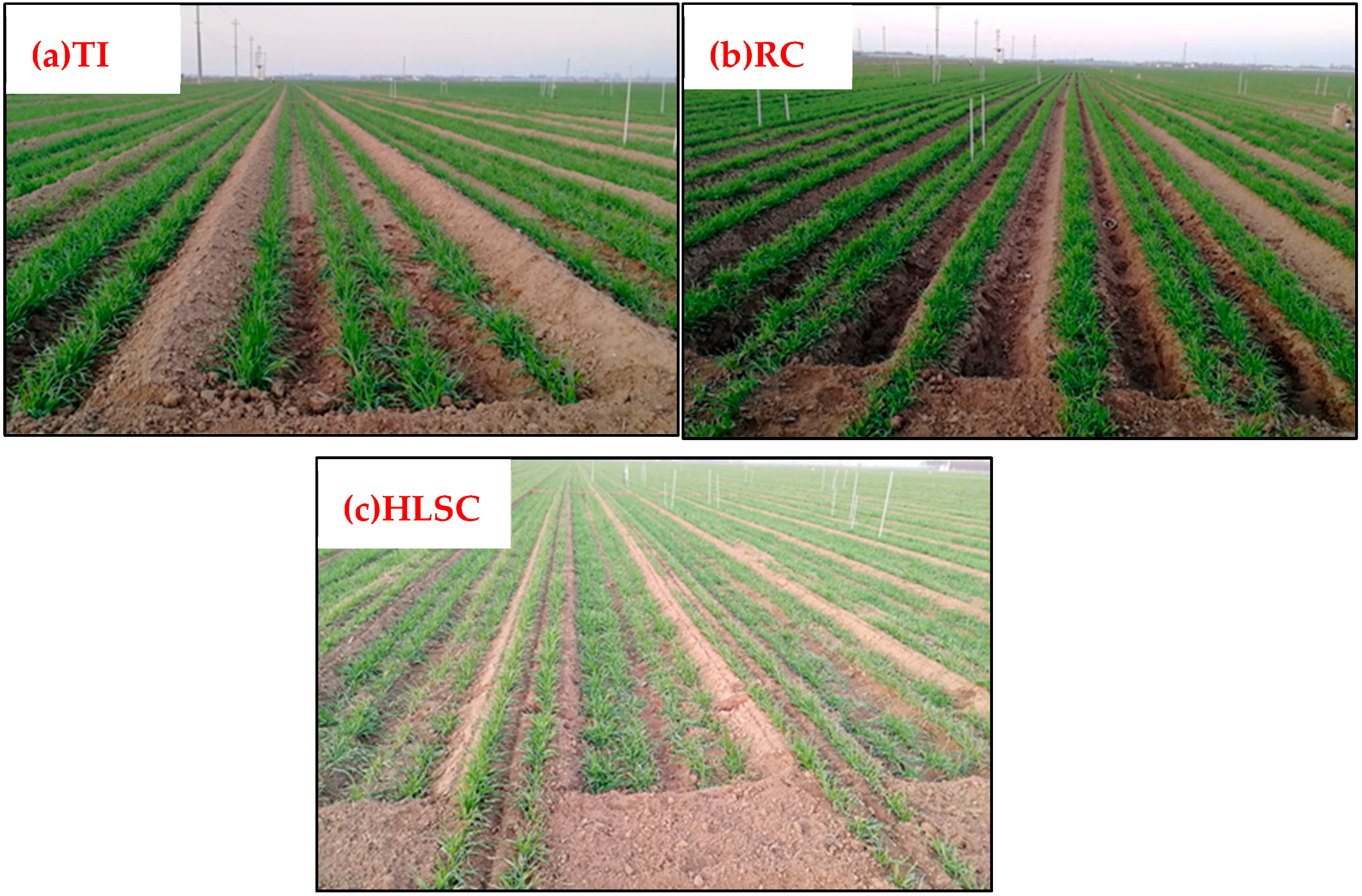 Plants 12 00692 g001 Plants 12 00692 g001