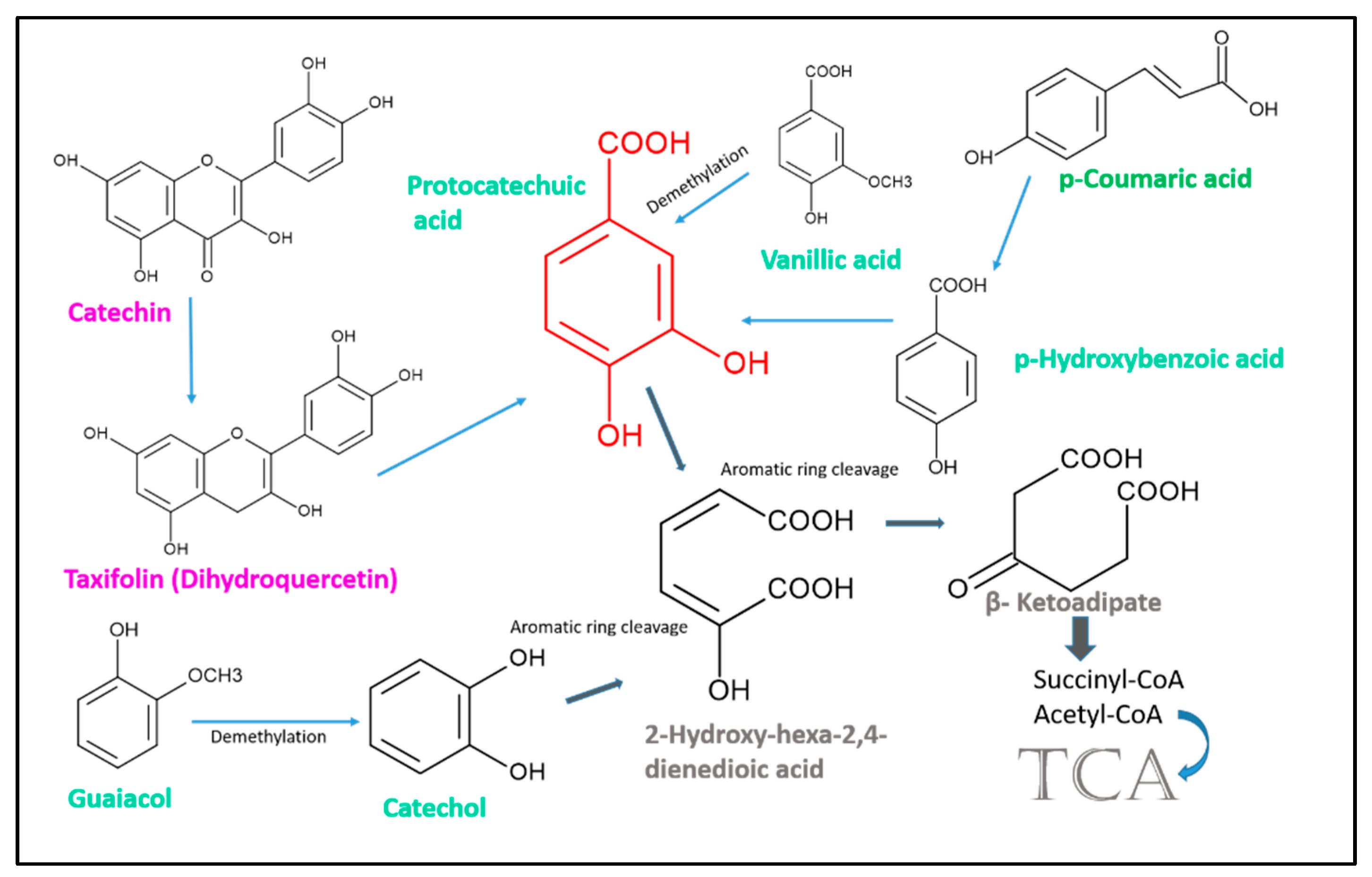 Plants 12 00700 g004 Plants 12 00700 g004