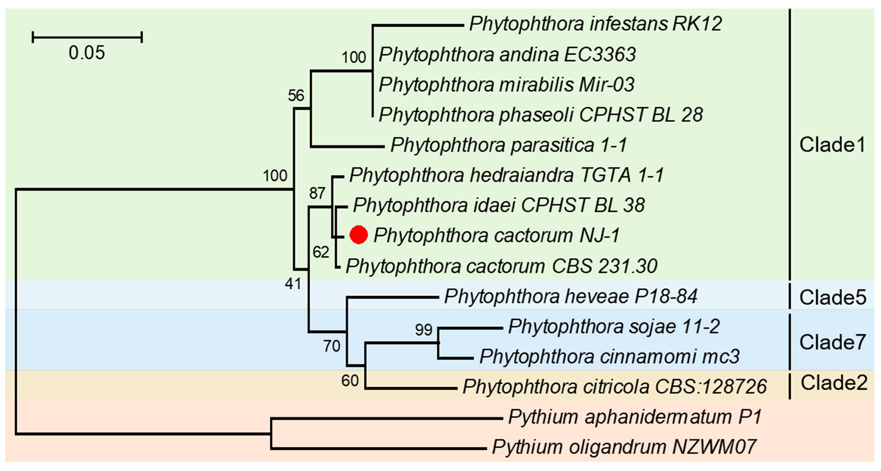 Plants 12 00702 g002