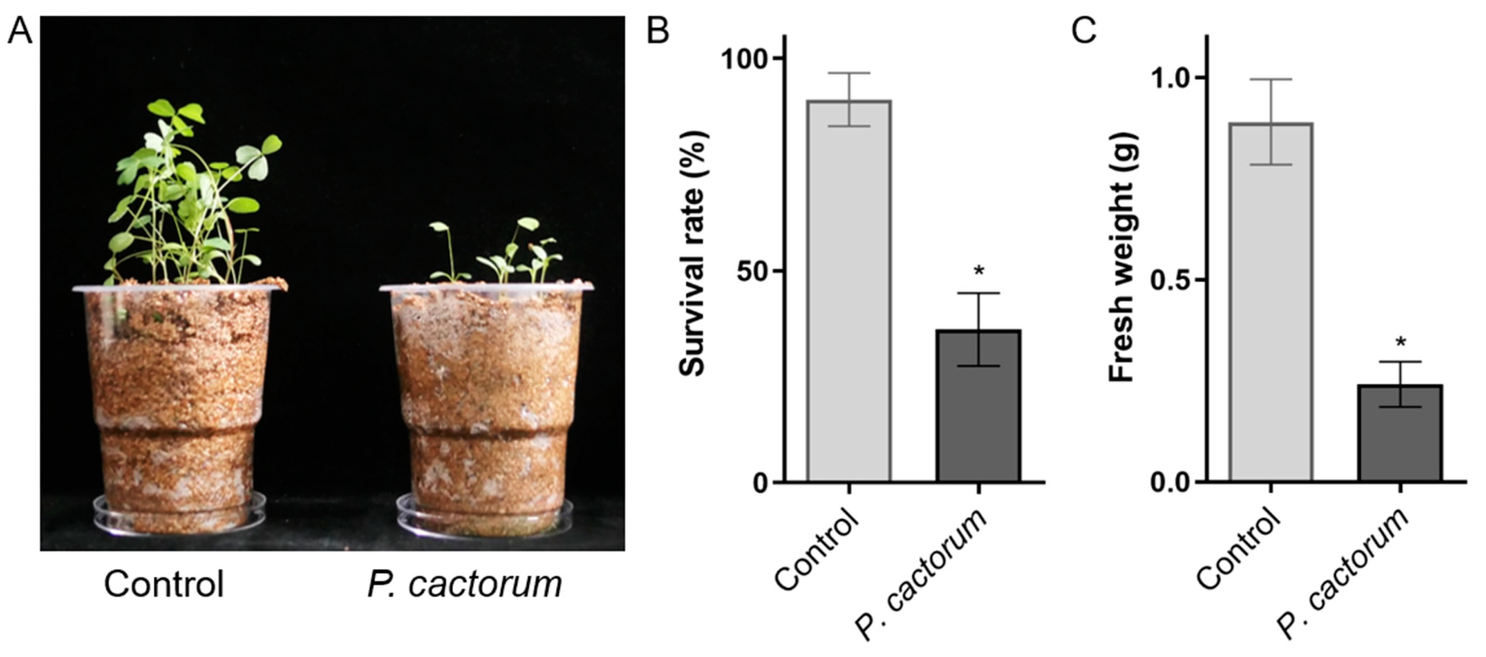 Plants 12 00702 g003