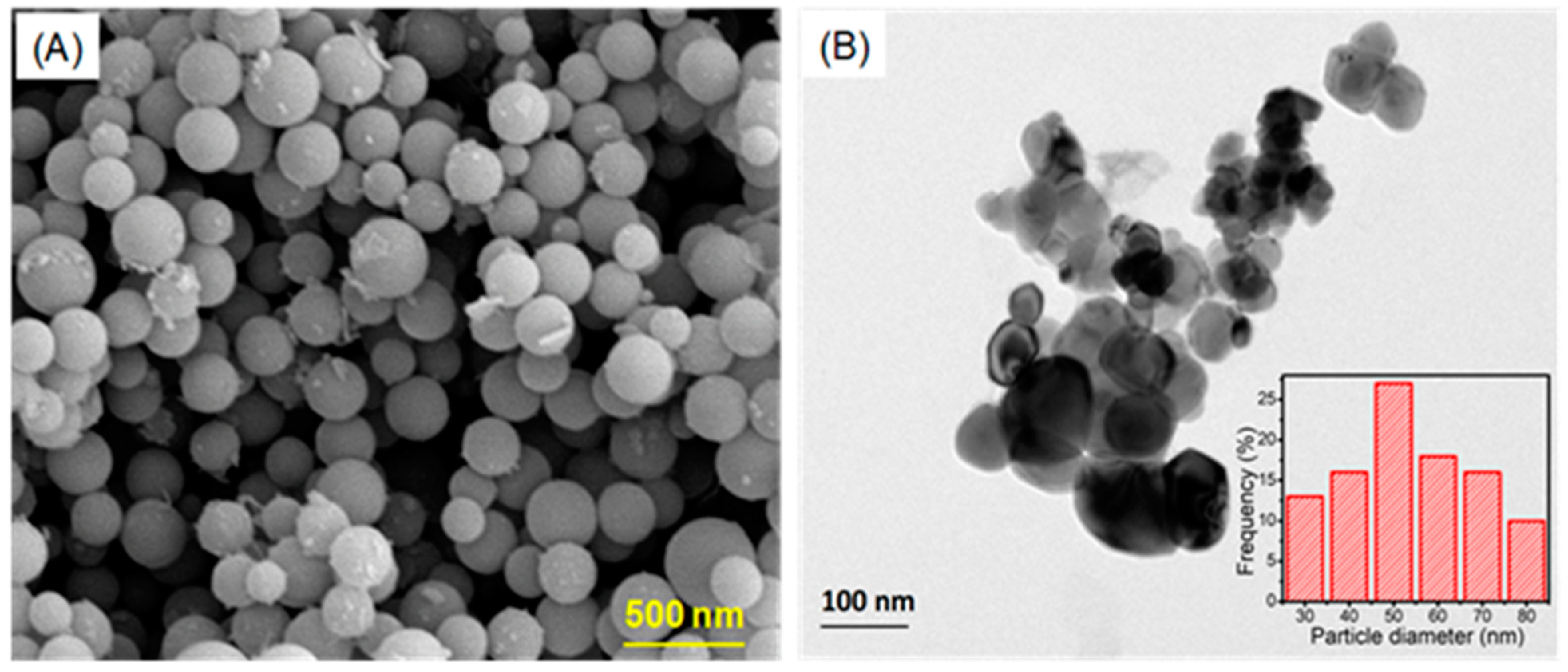 Plants 12 00707 g003