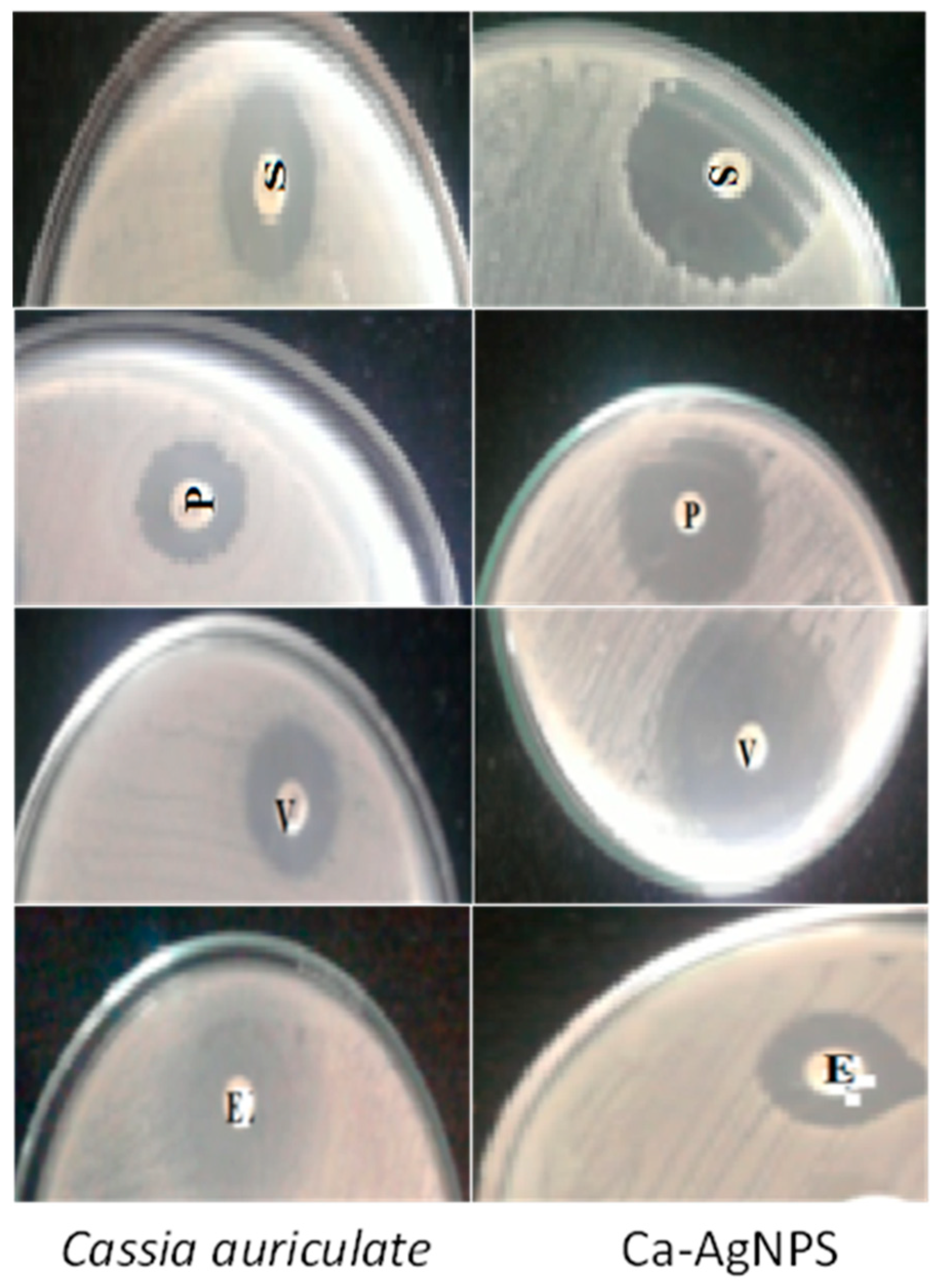 Plants 12 00707 g004