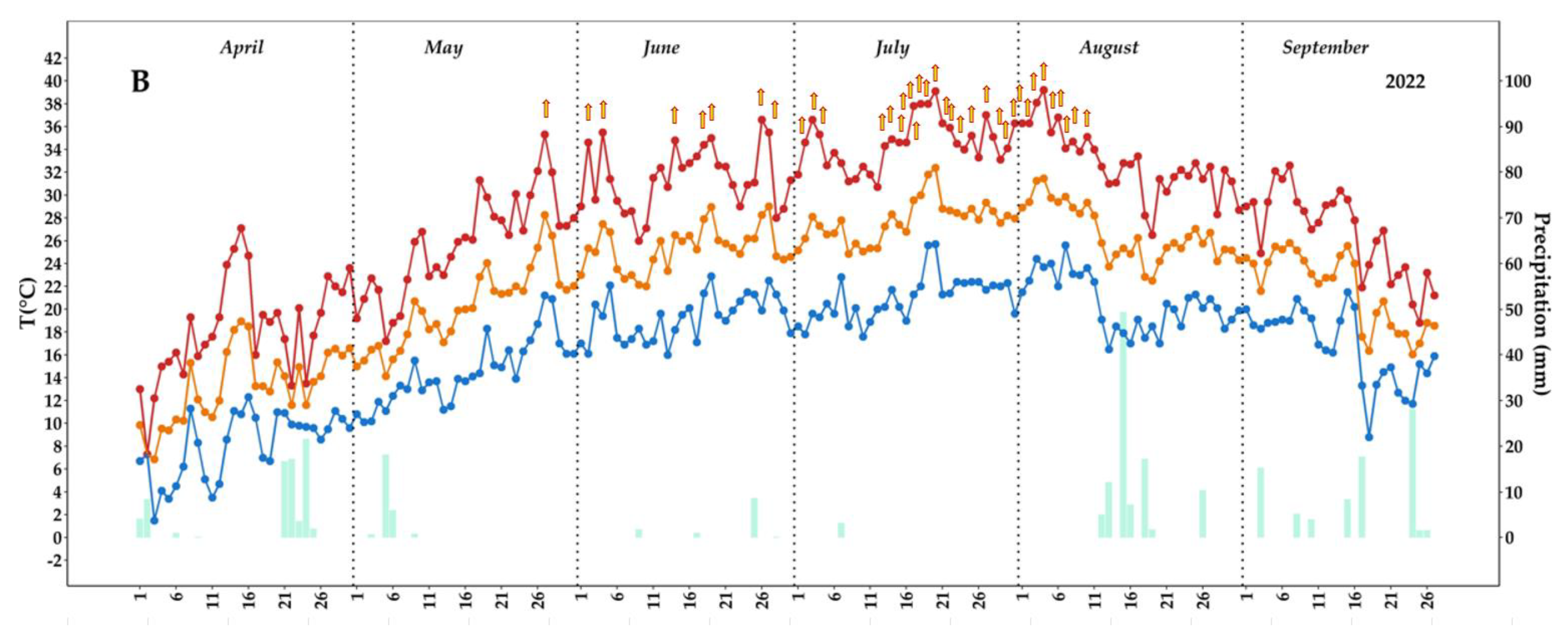 Plants 12 00708 g001b