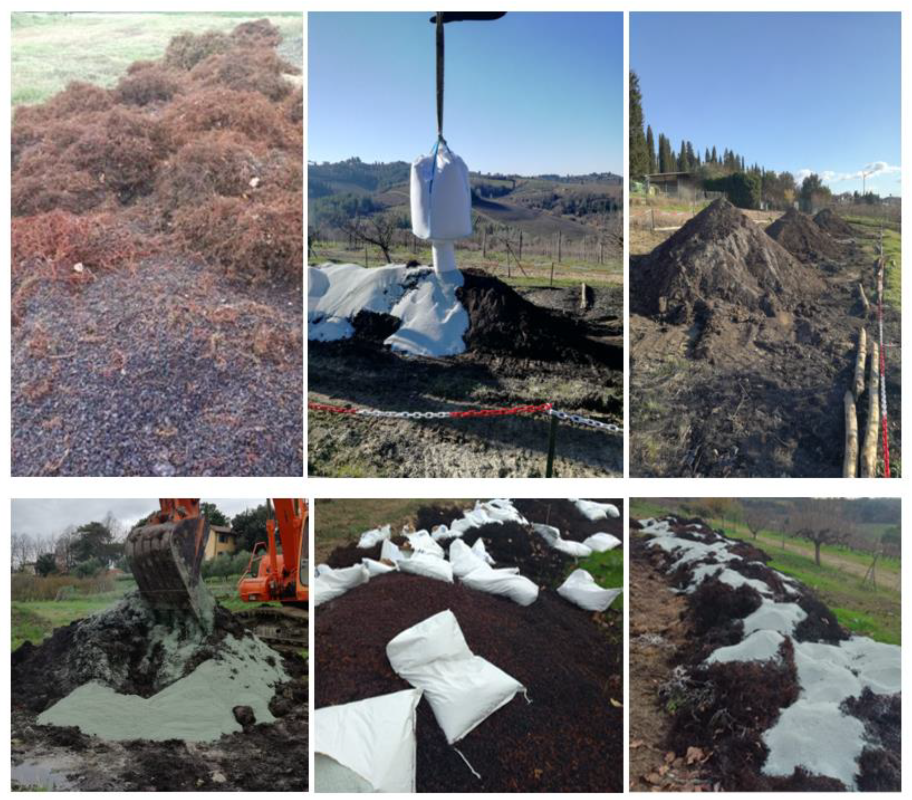 Plants 12 00708 g014