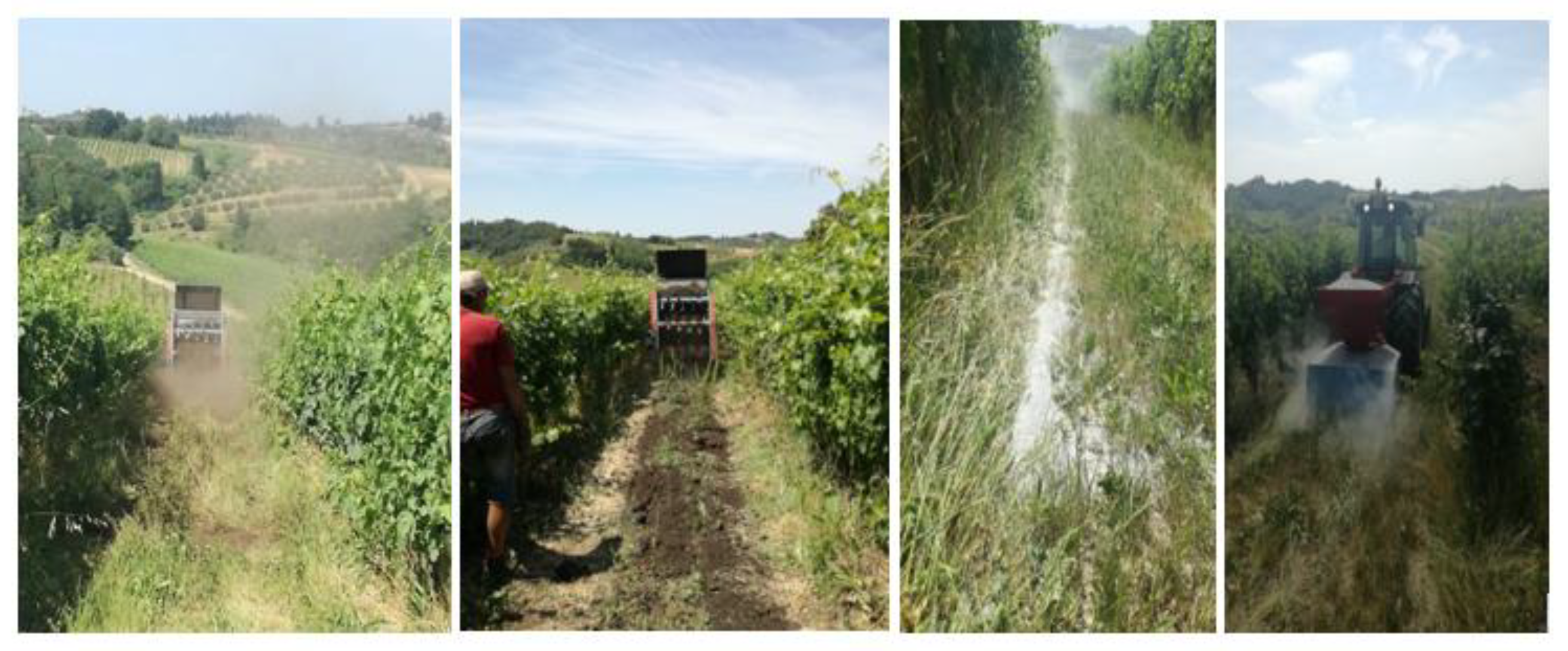 Plants 12 00708 g015