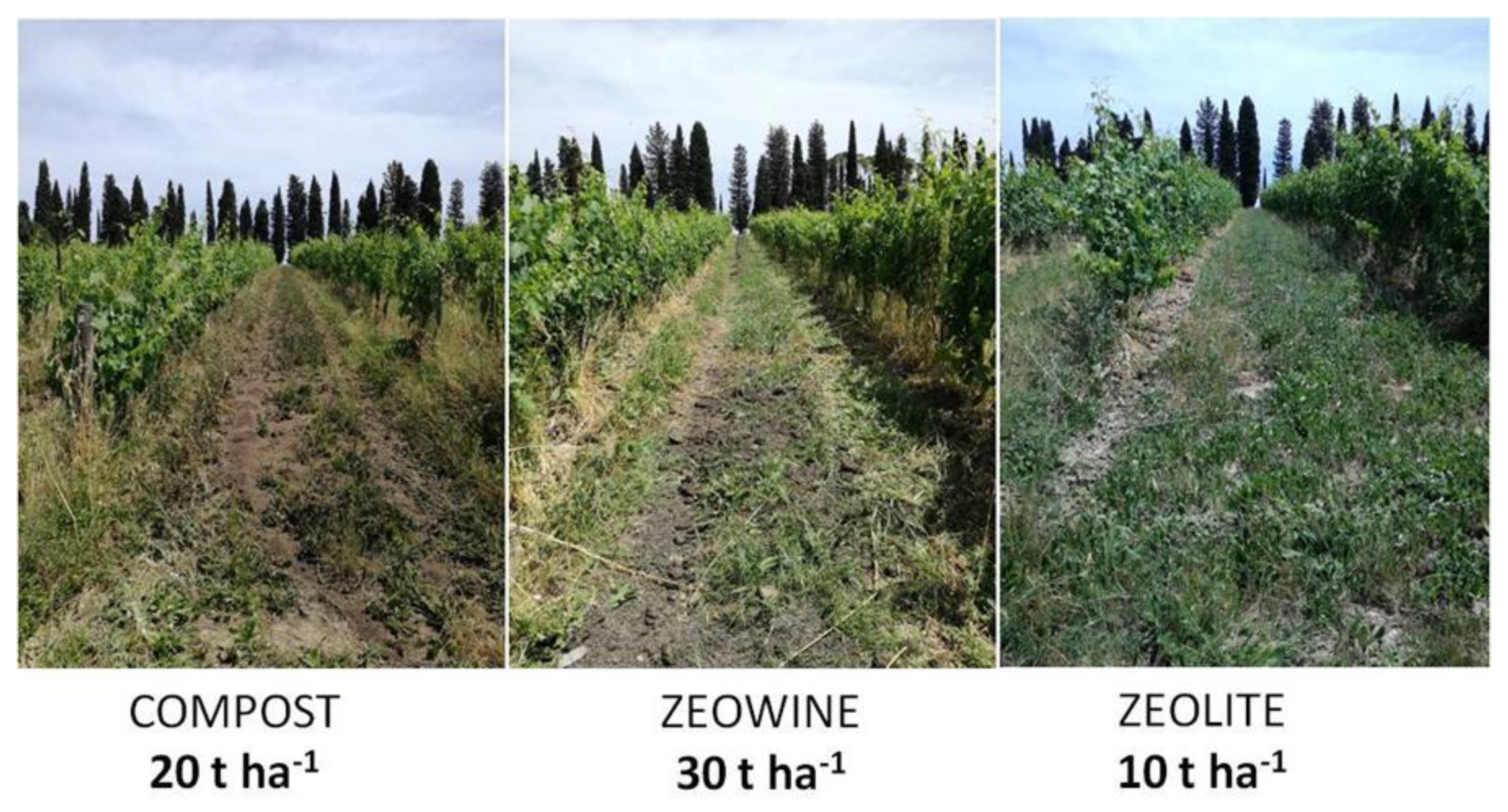 Plants 12 00708 g016