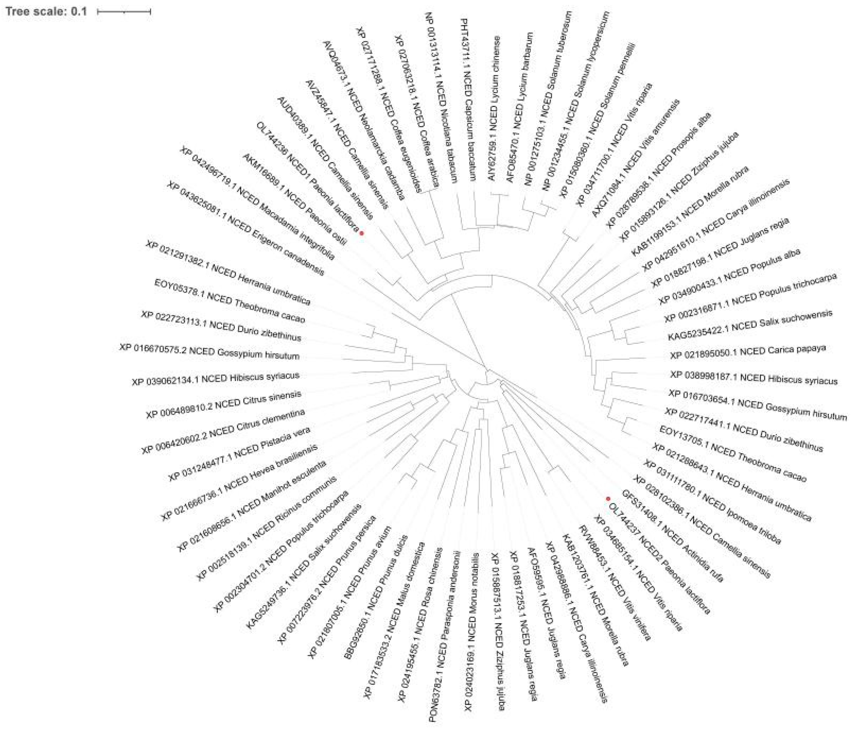 Plants 12 00710 g002