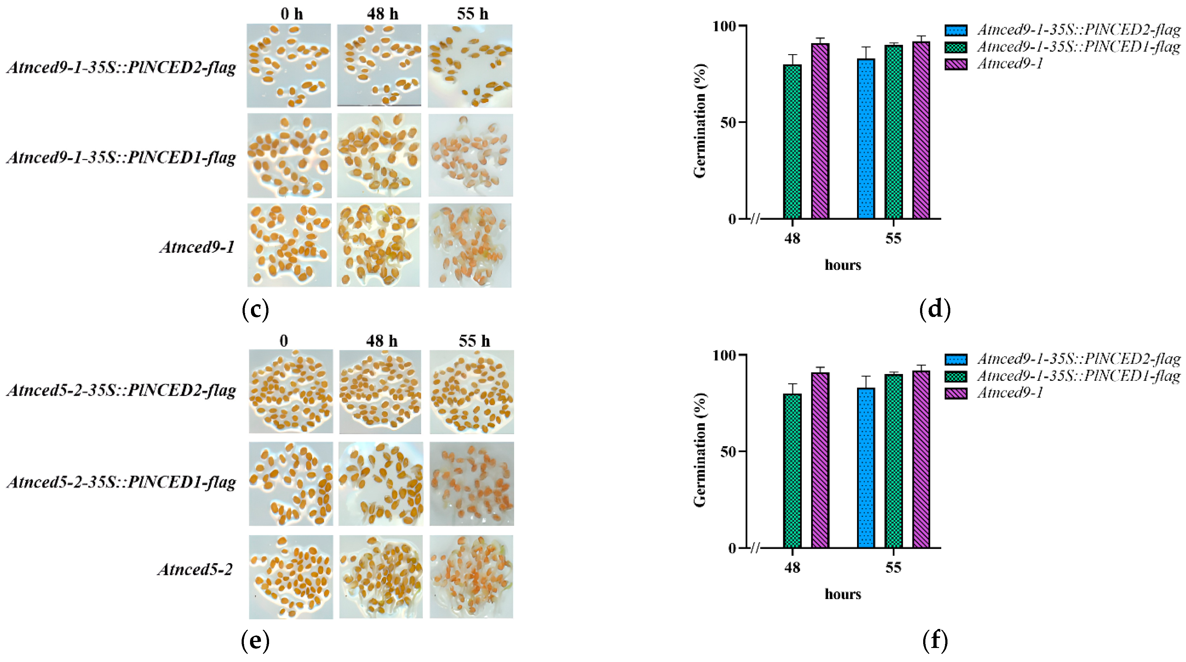 Plants 12 00710 g005b
