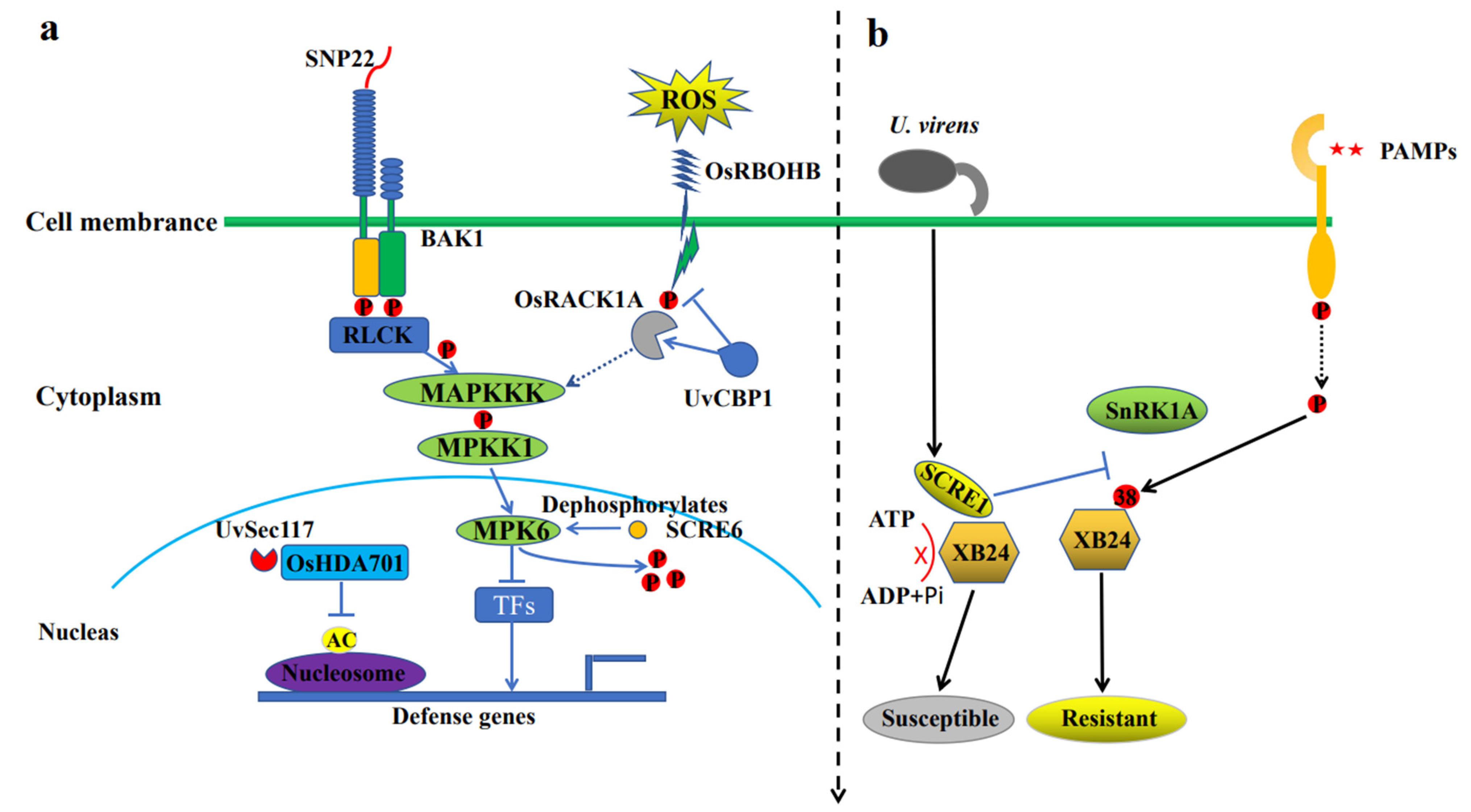 Plants 12 00741 g002