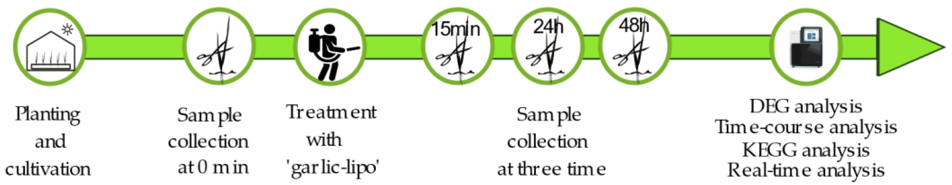 Plants 12 00743 g001