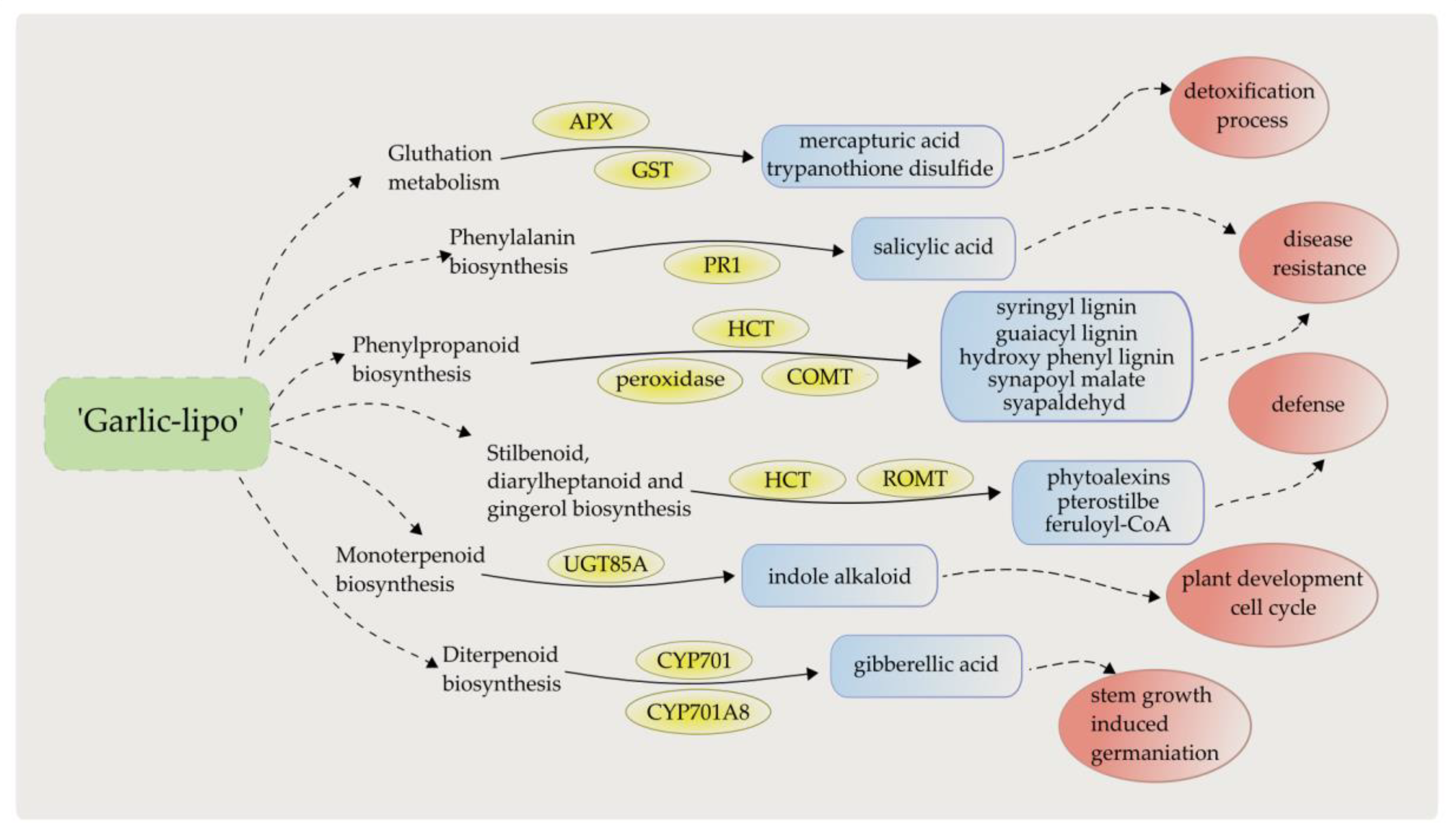 Plants 12 00743 g008