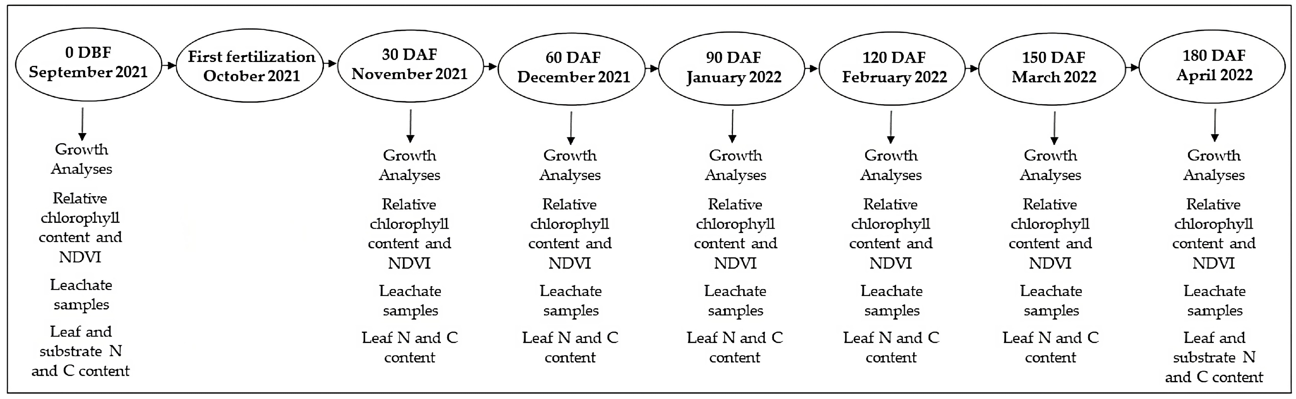Plants 12 00760 g004