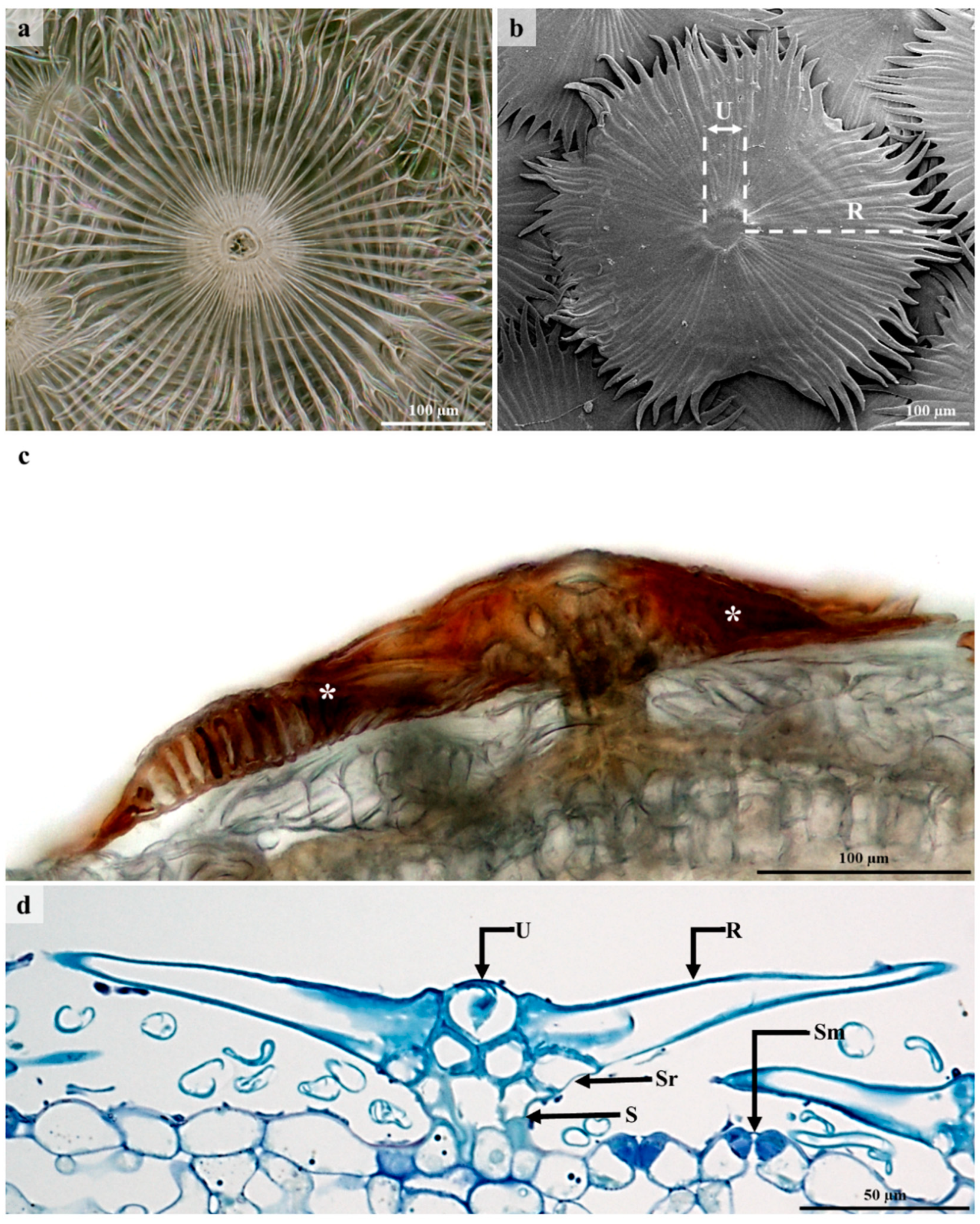 Plants 12 00772 g003