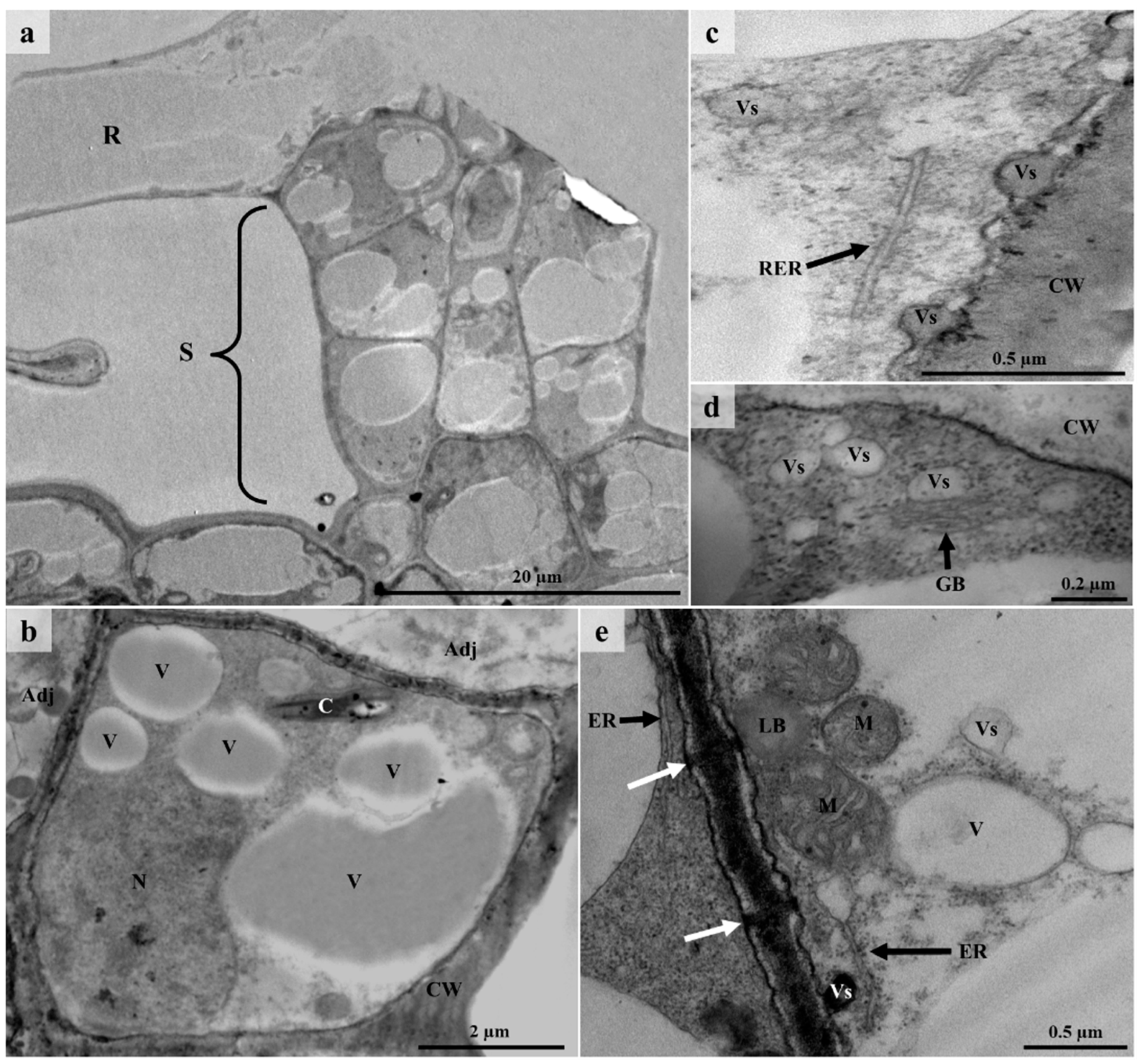 Plants 12 00772 g009