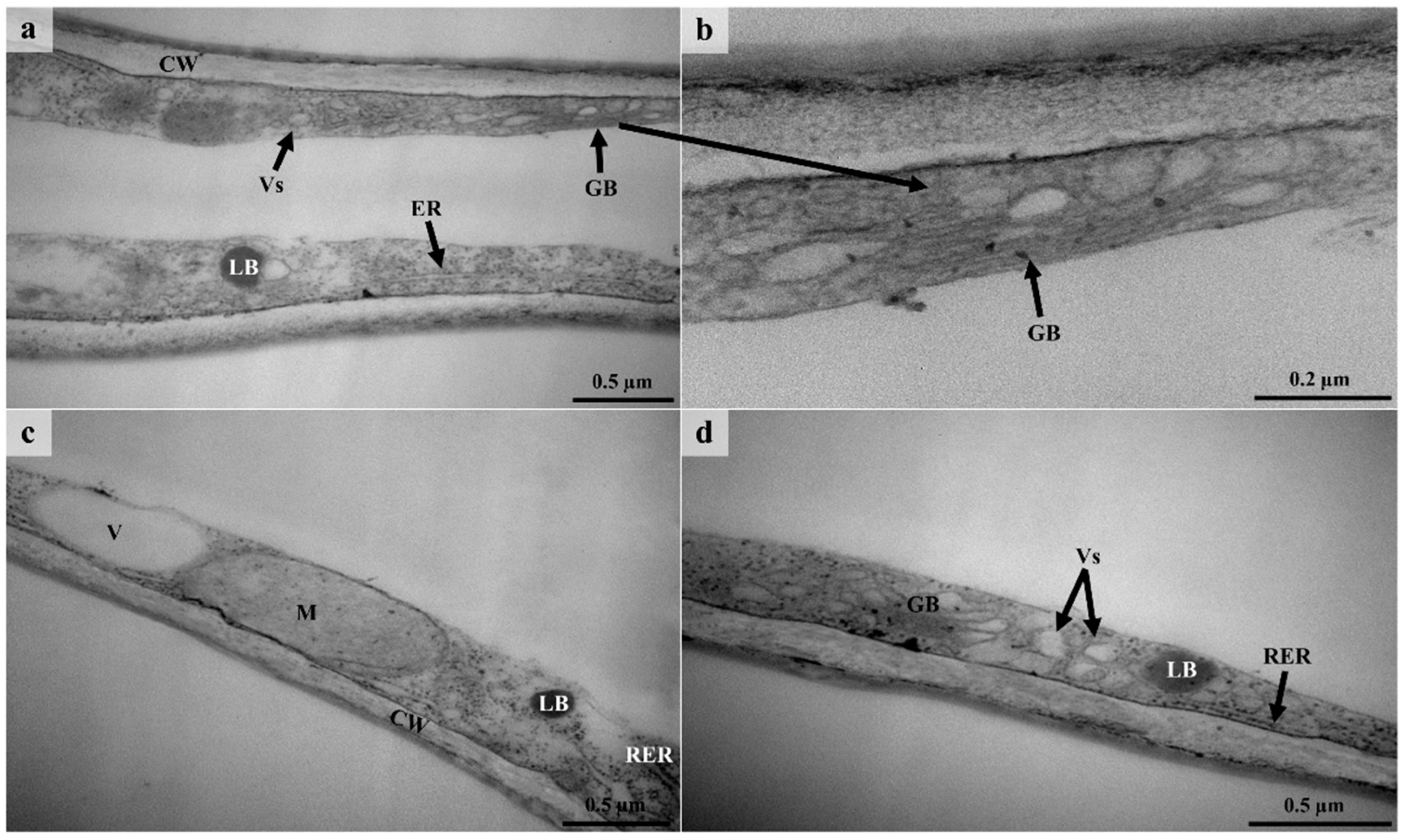 Plants 12 00772 g010