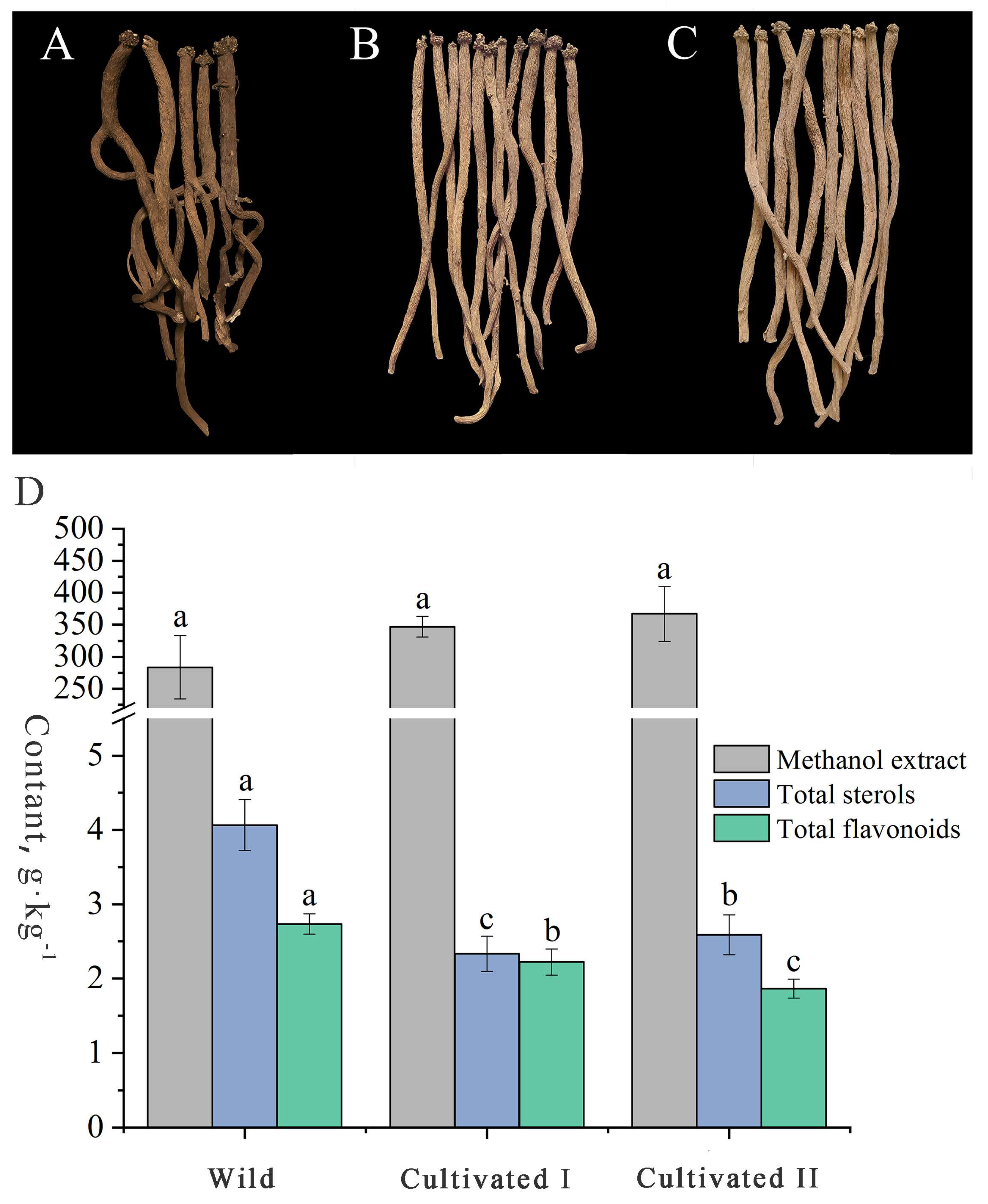 Plants 12 00775 g001