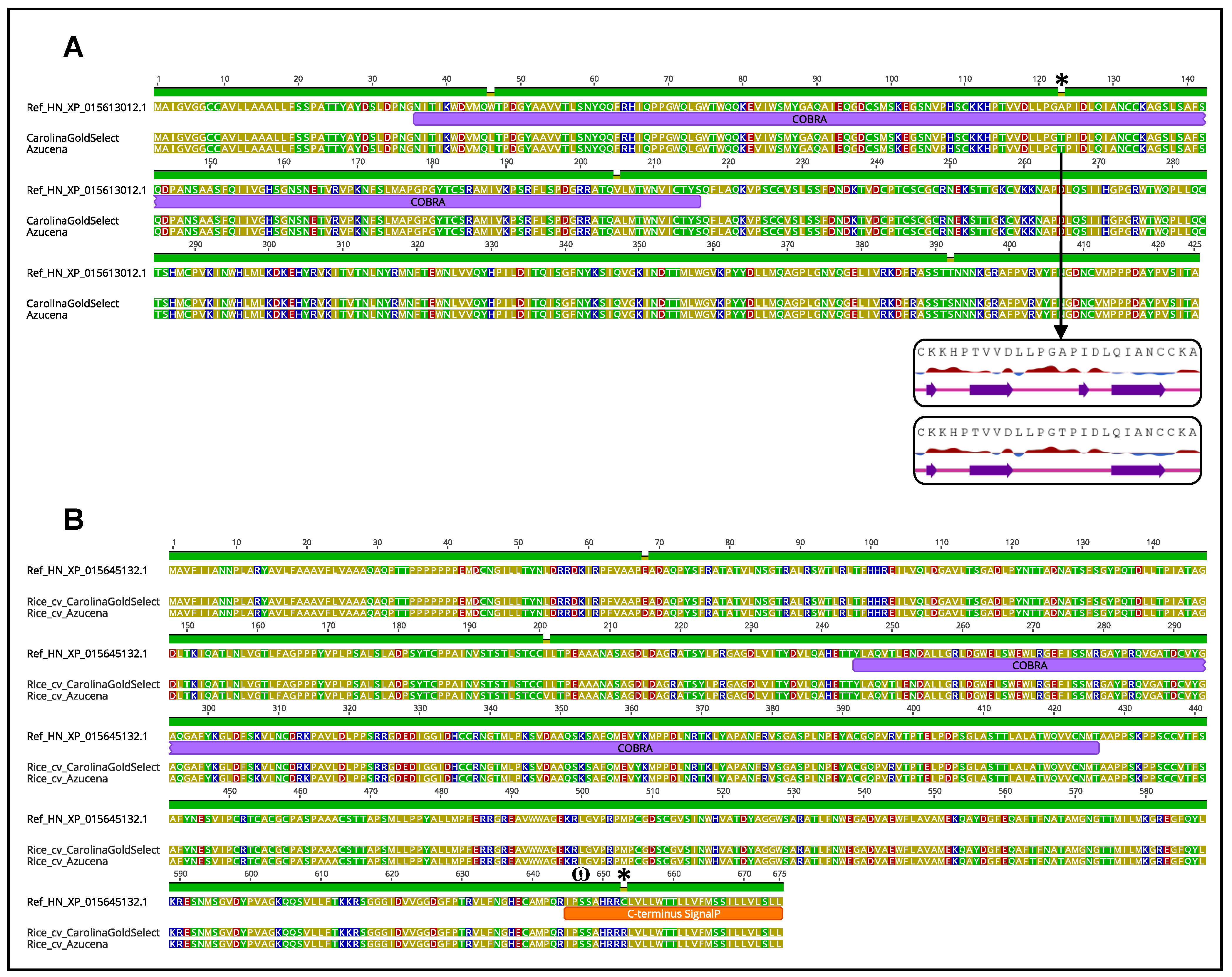 Plants 12 00779 g004