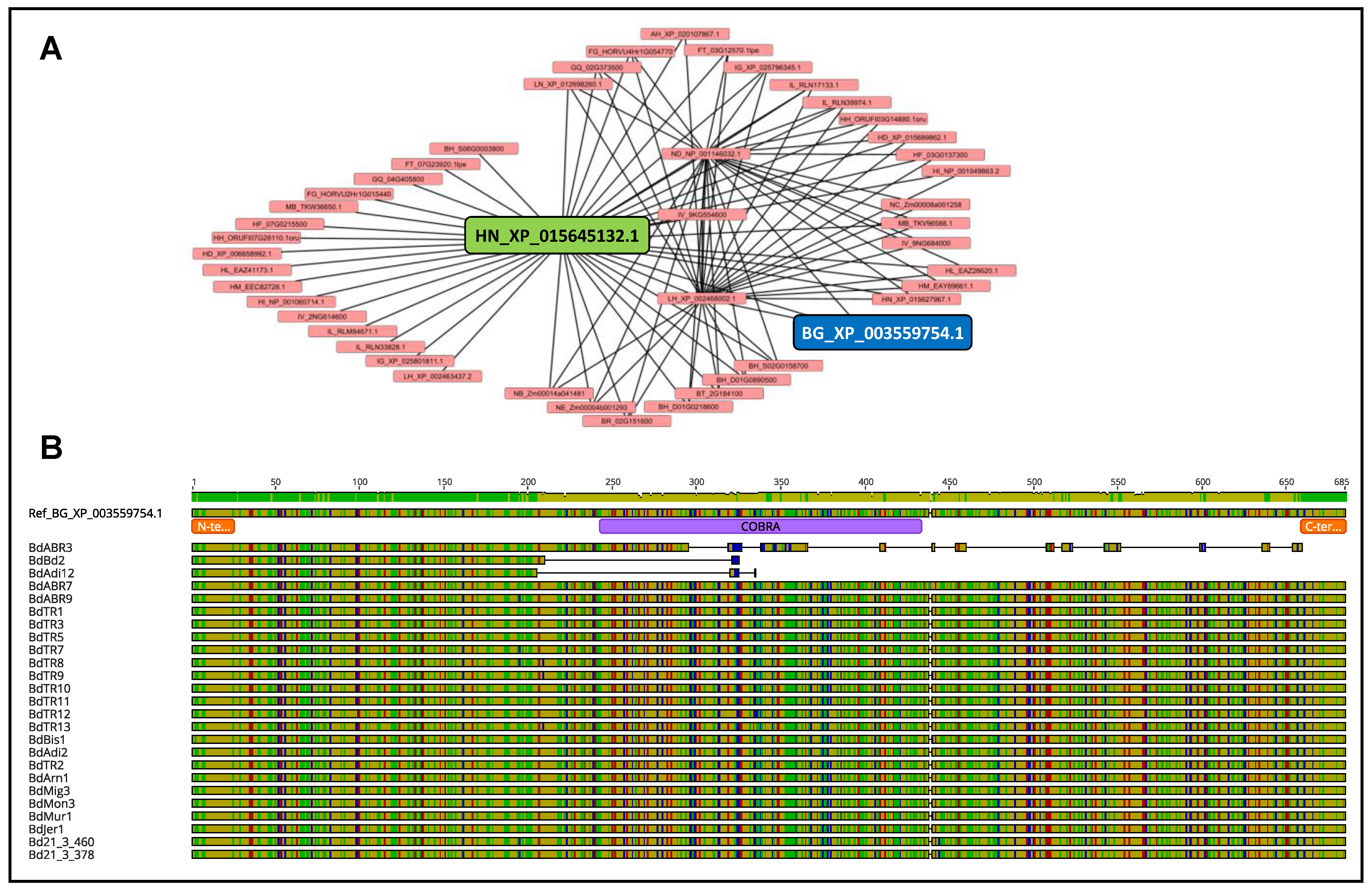 Plants 12 00779 g005