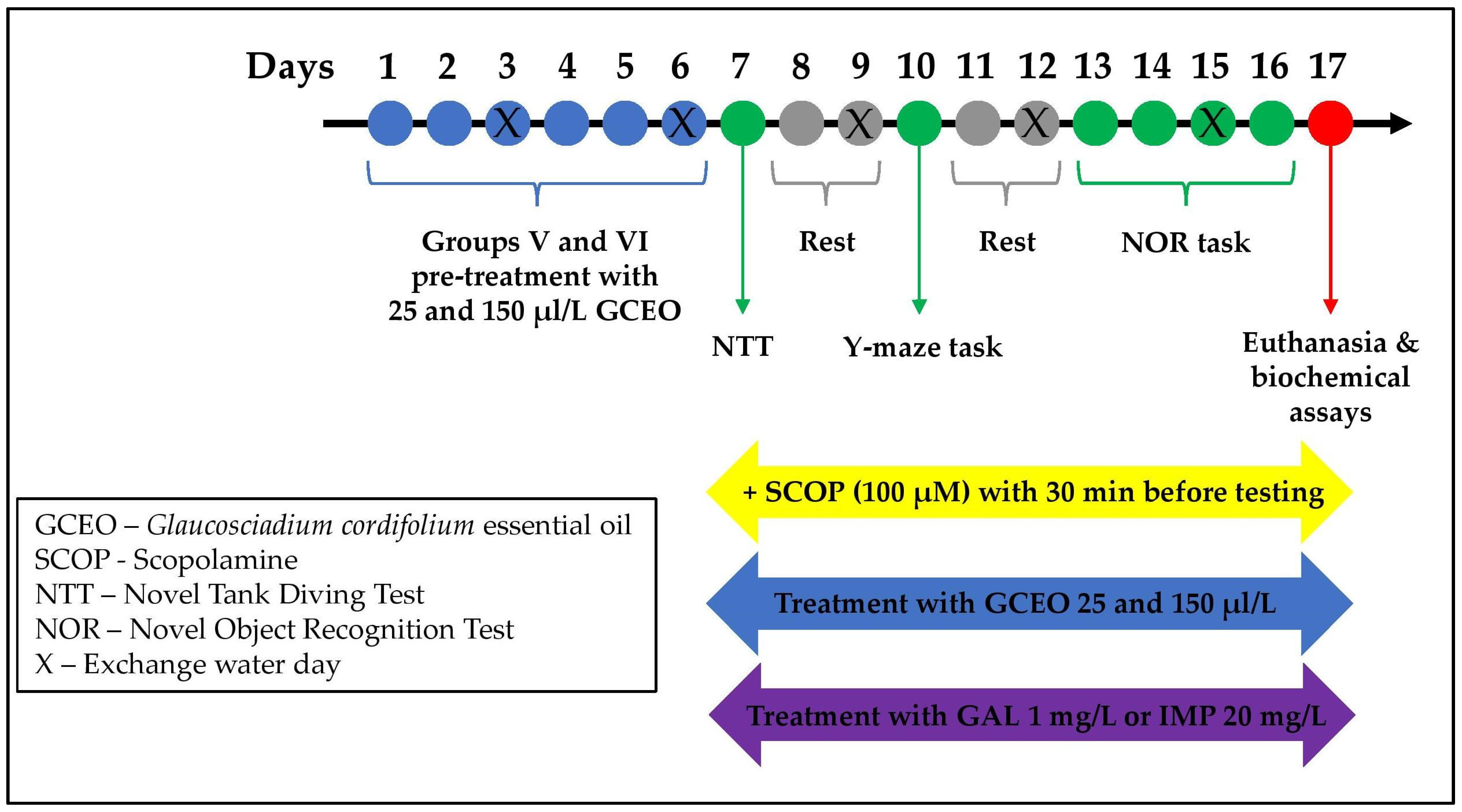 Plants 12 00784 g007 Plants 12 00784 g007