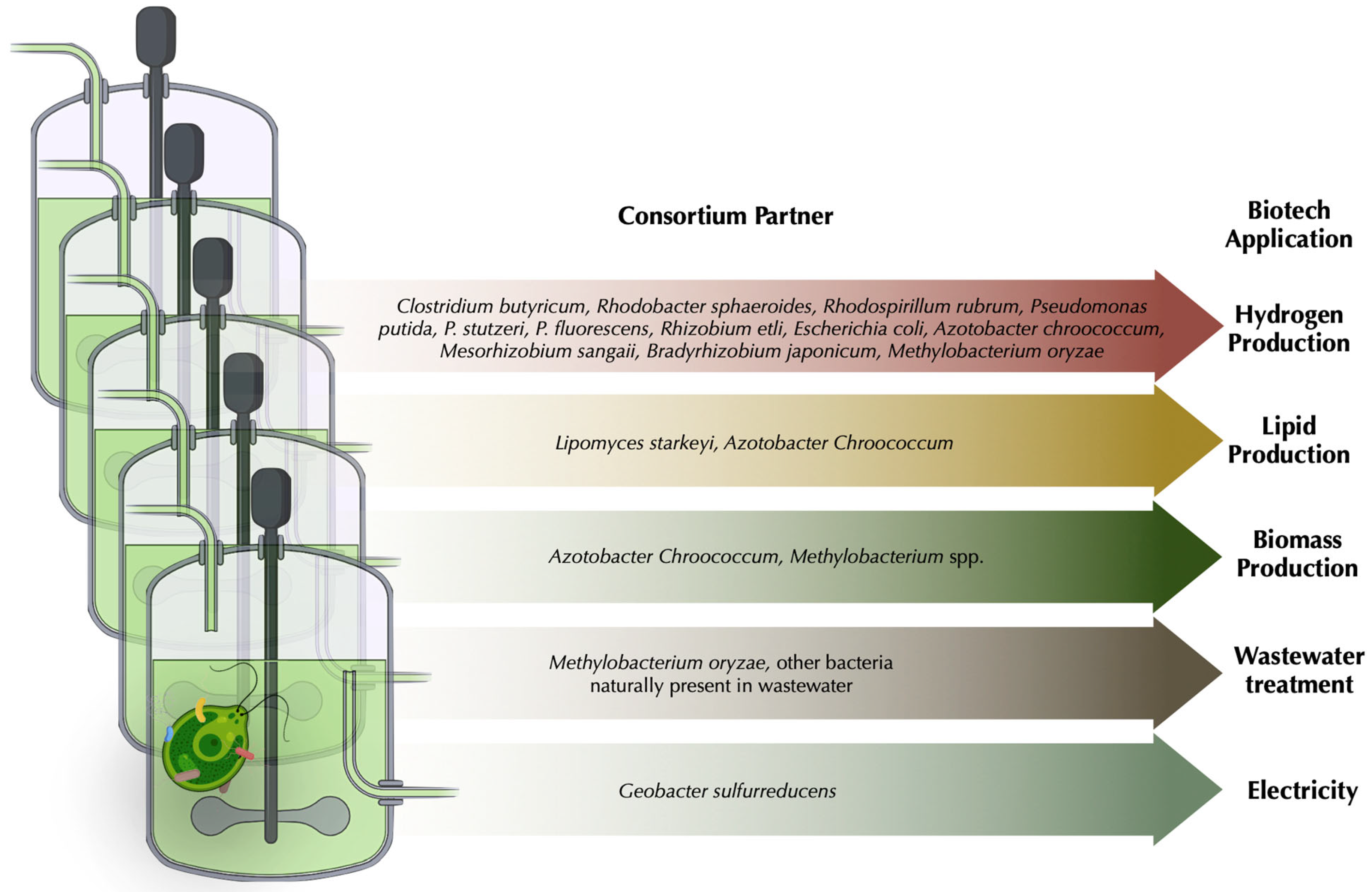 Plants 12 00788 g002