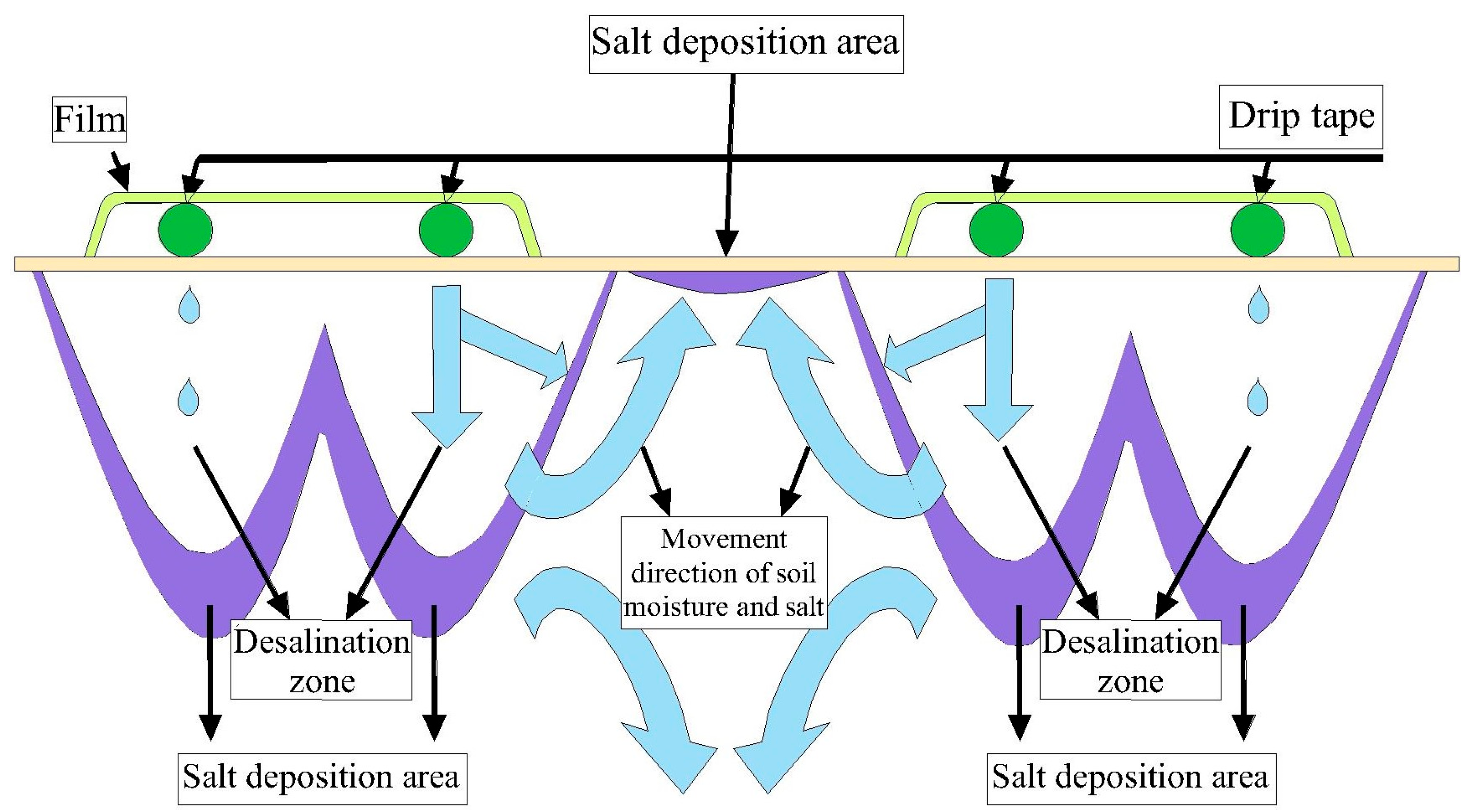 Plants 12 00791 g001