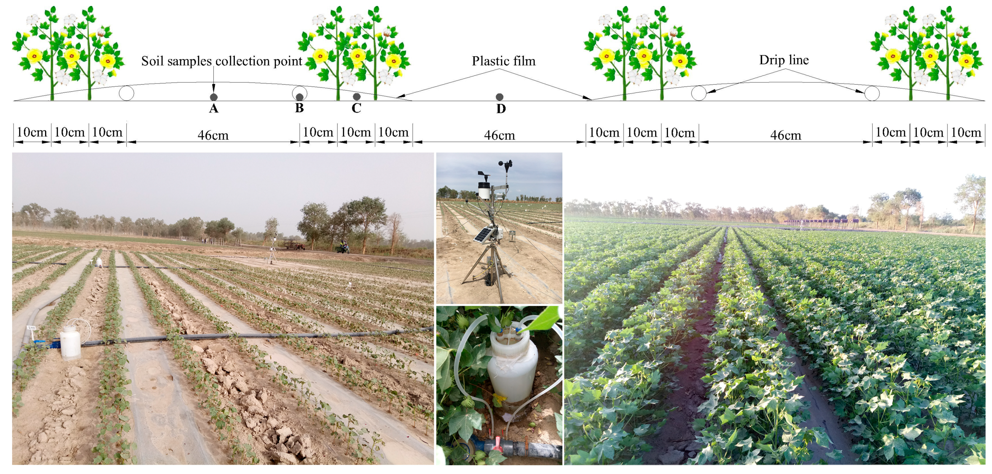 Plants 12 00791 g010