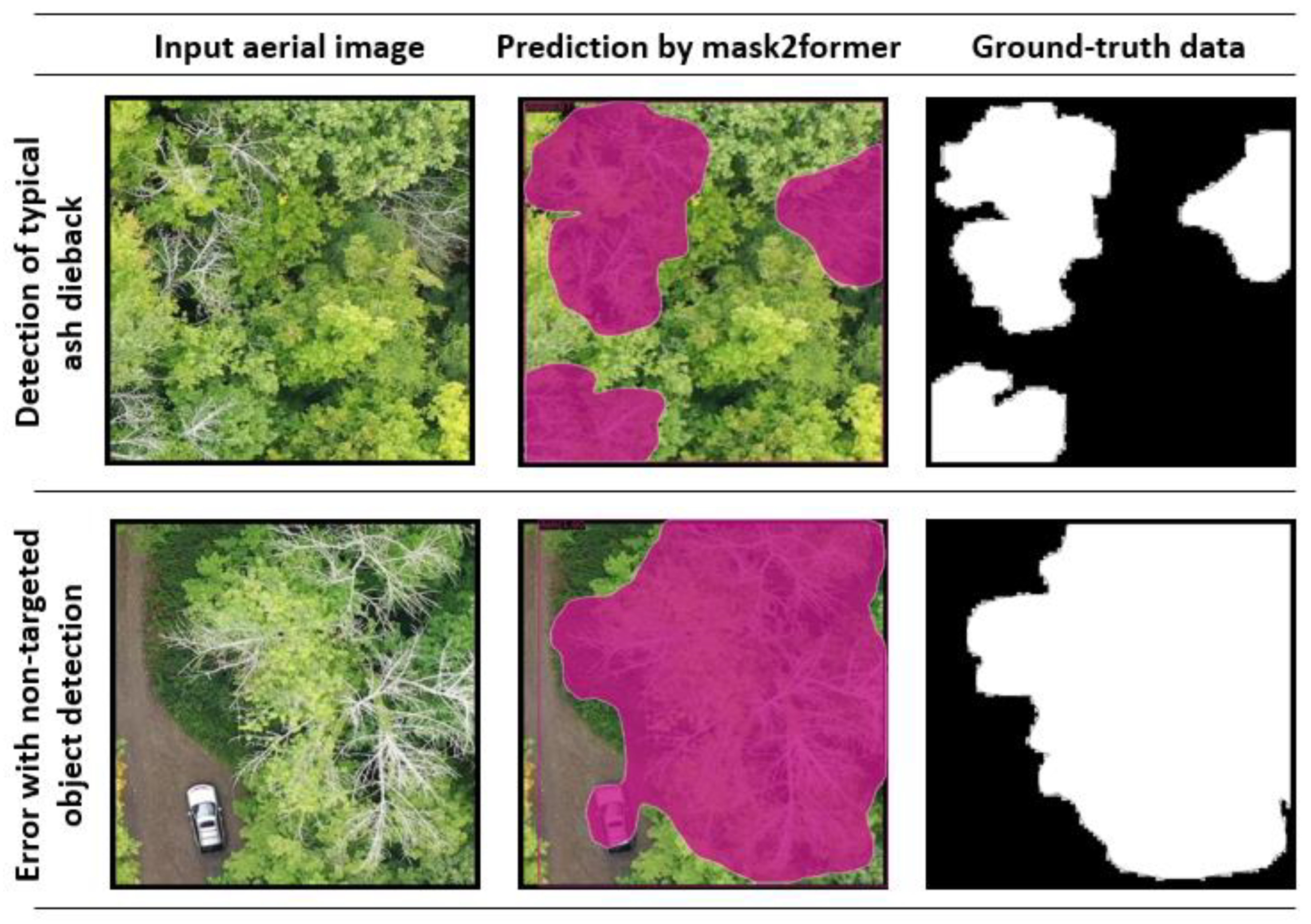 Plants 12 00798 g003