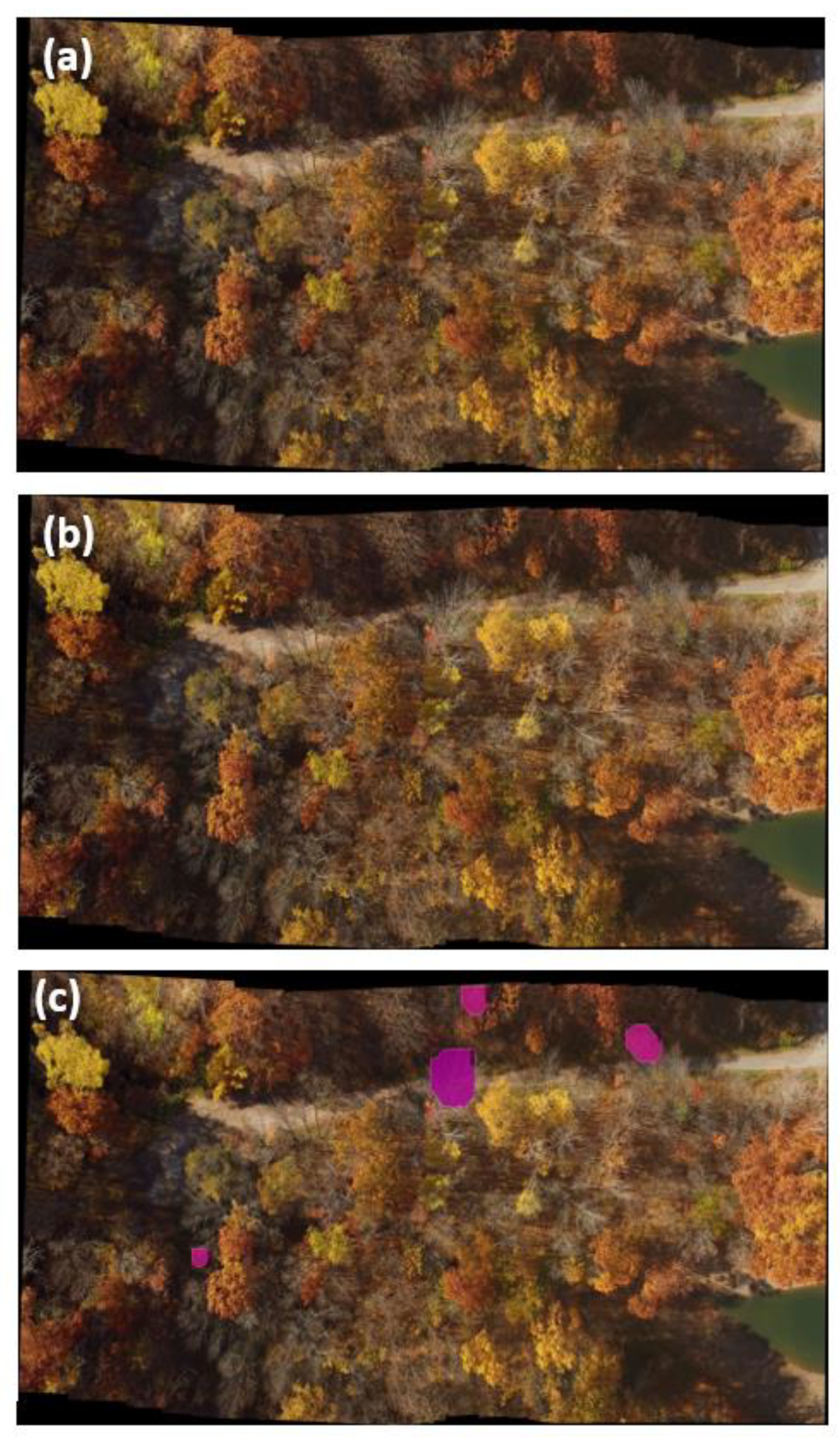 Plants 12 00798 g005