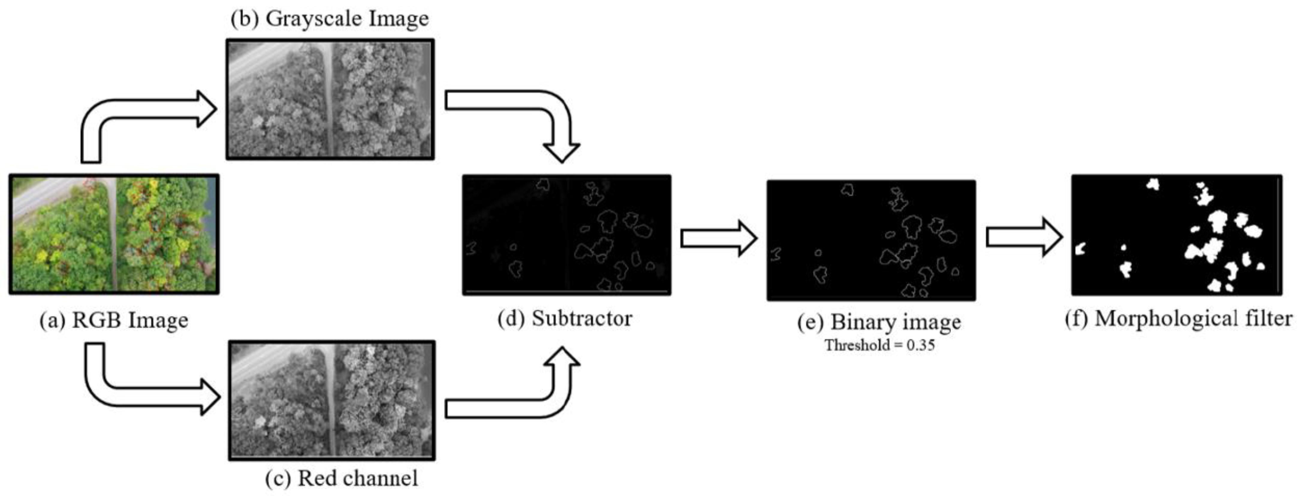 Plants 12 00798 g009