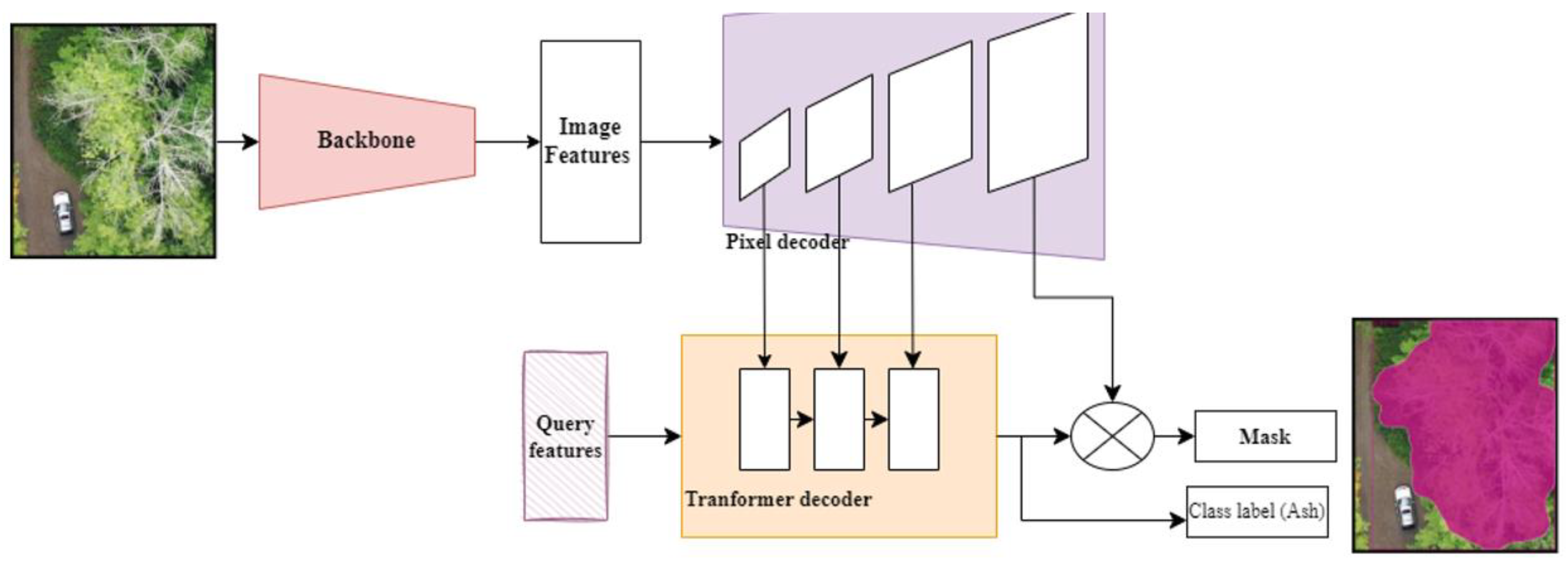 Plants 12 00798 g011