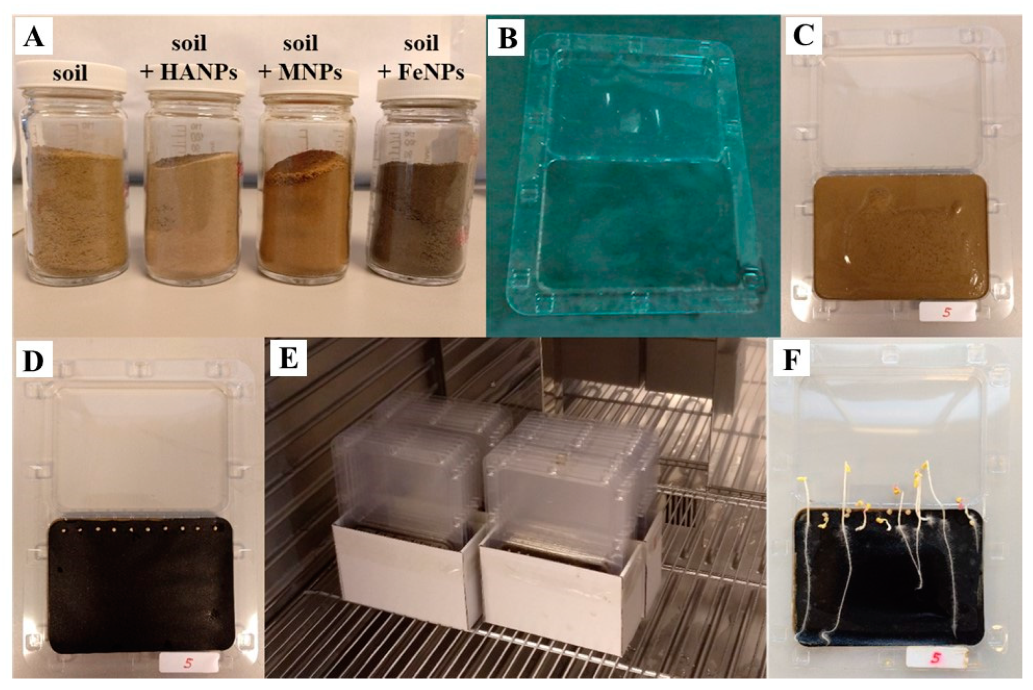 Plants 12 00801 g002