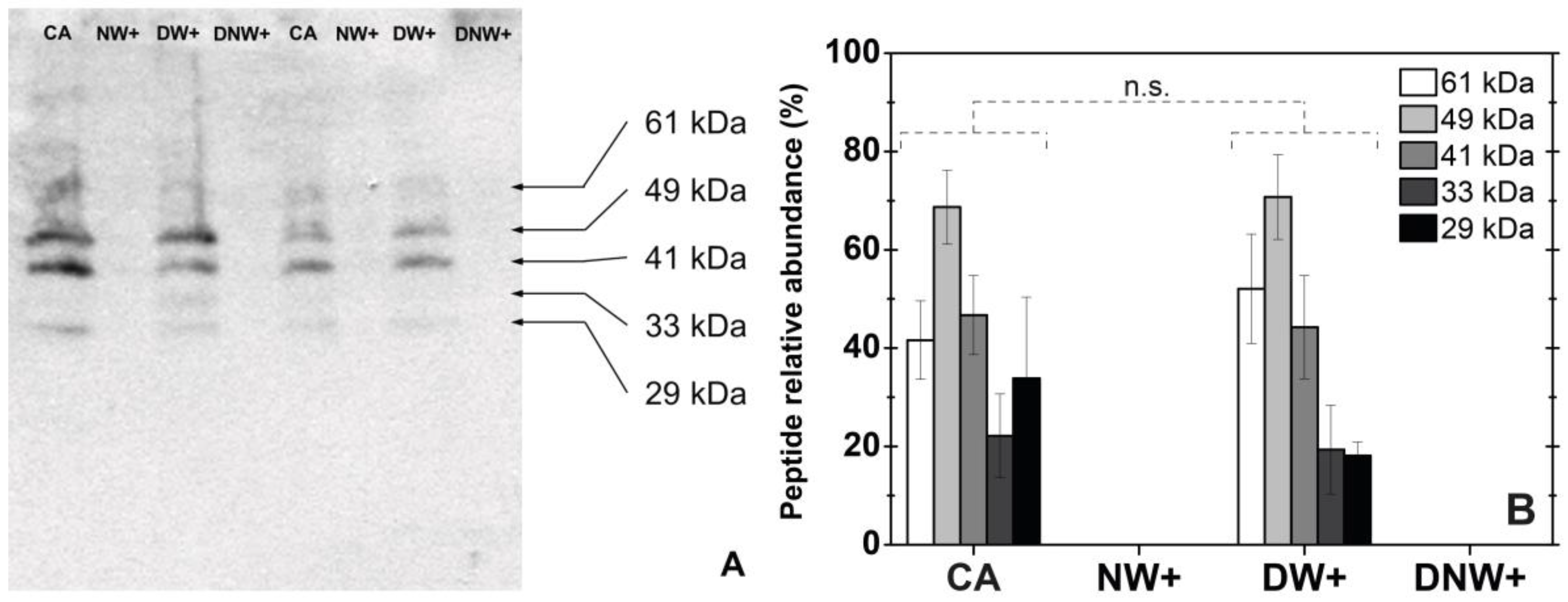 Plants 12 00806 g003 Plants 12 00806 g003