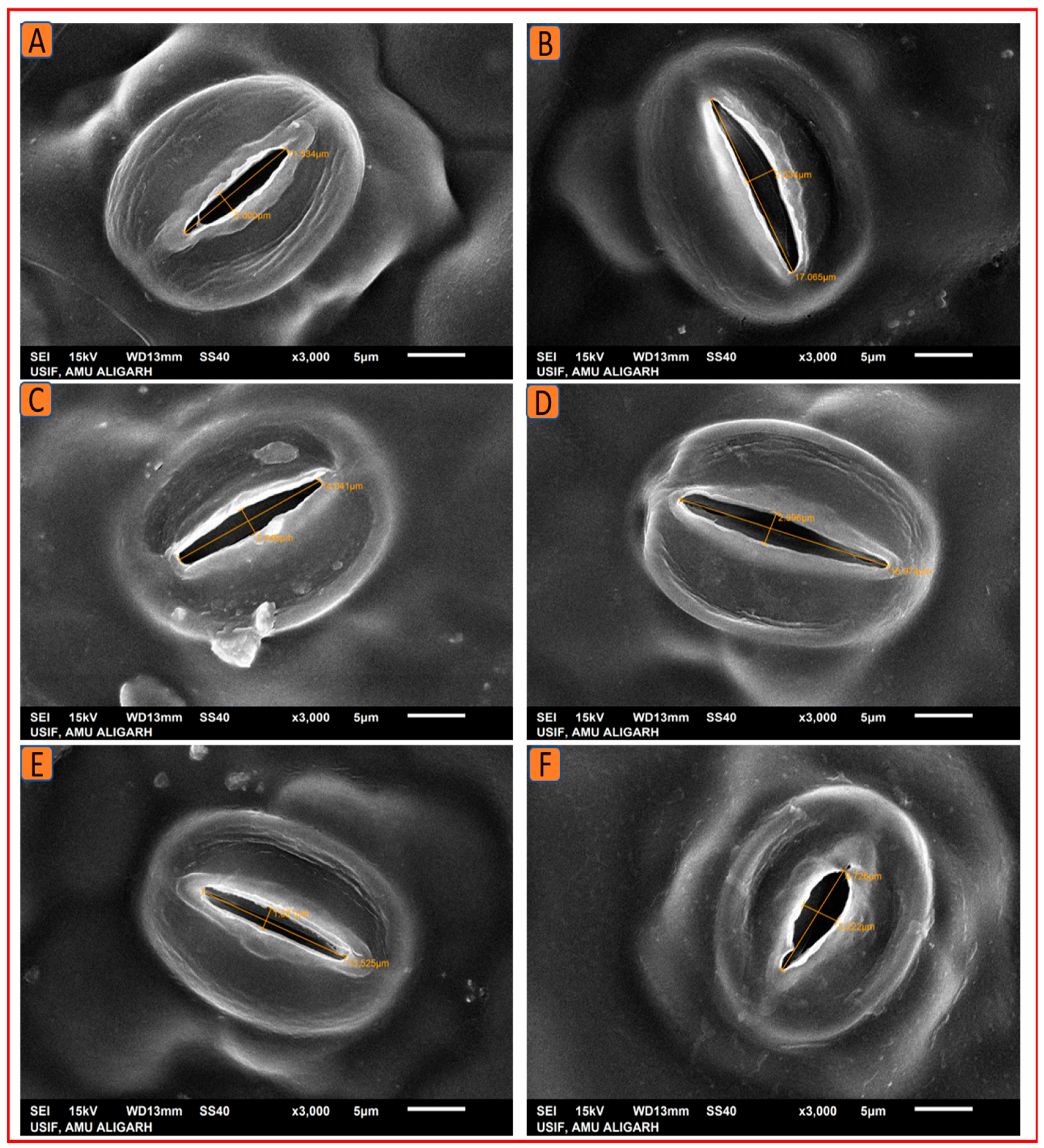 Plants 12 00809 g009